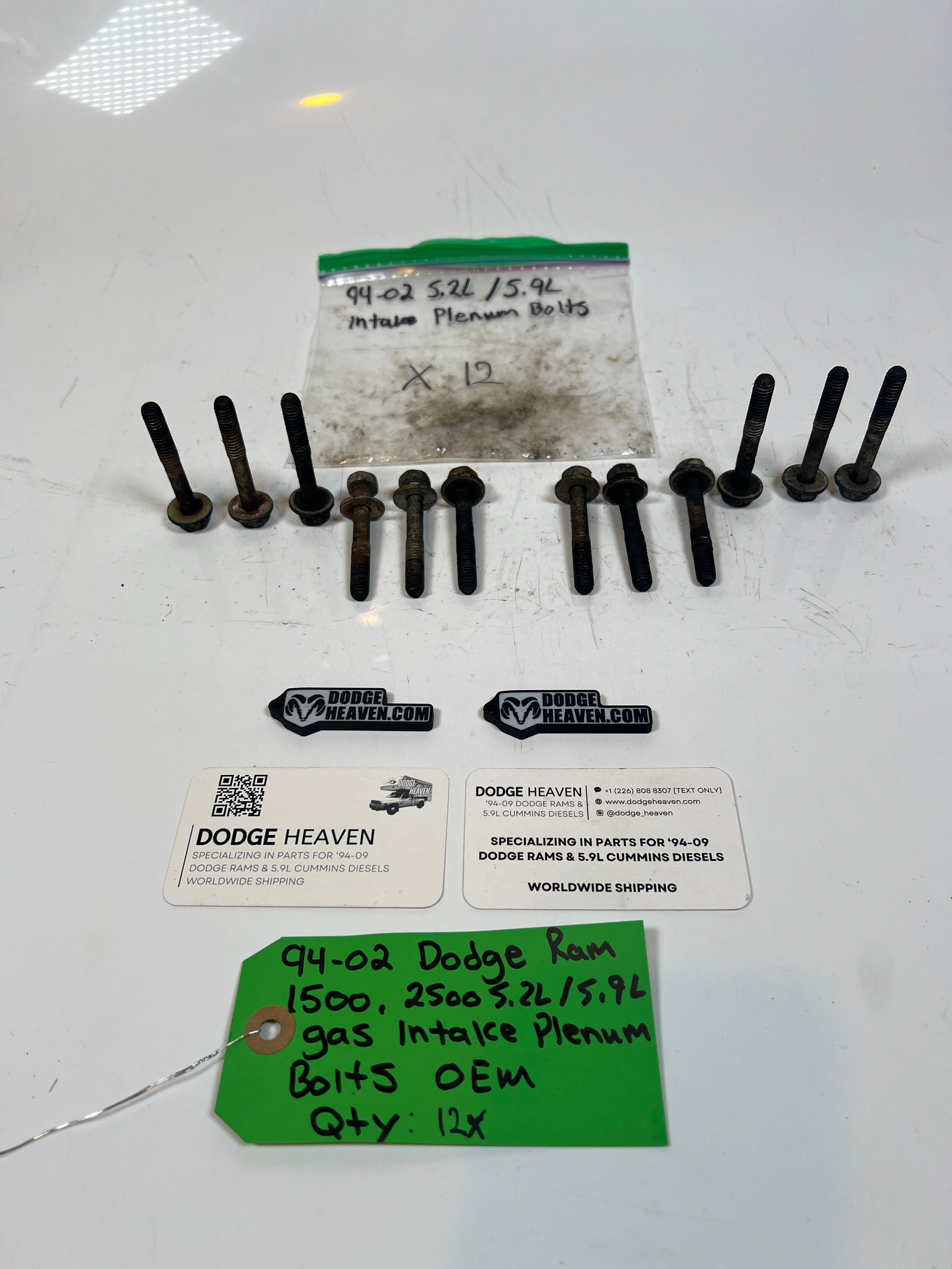 1994-2002 Dodge Ram 1500 2500 5.2L / 5.9l Gas Intake Plenum Bolts Qty 12