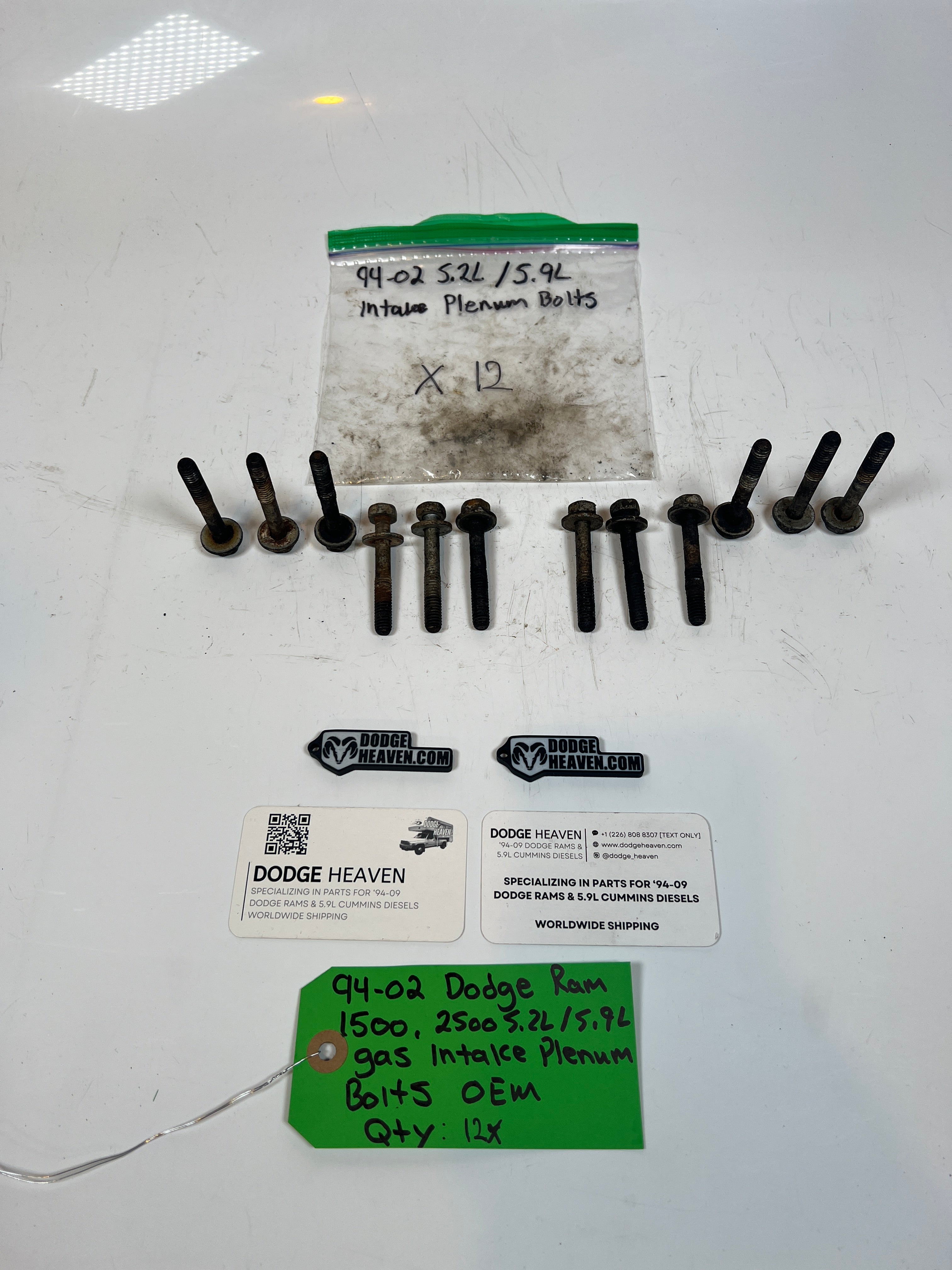 1994-2002 Dodge Ram 1500 2500 5.2L / 5.9l Gas Intake Plenum Bolts Qty 12