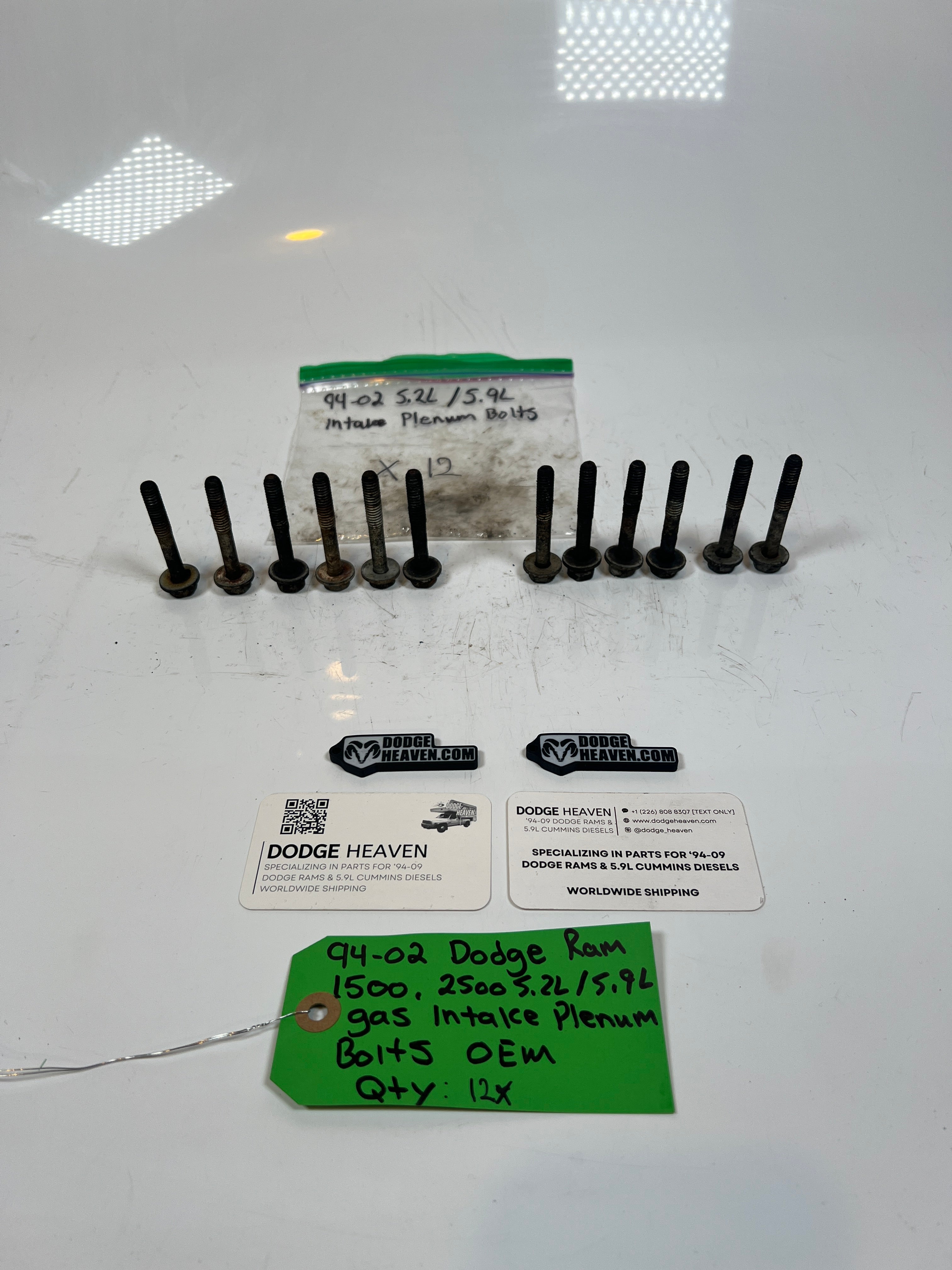 1994-2002 Dodge Ram 1500 2500 5.2L / 5.9l Gas Intake Plenum Bolts Qty 12