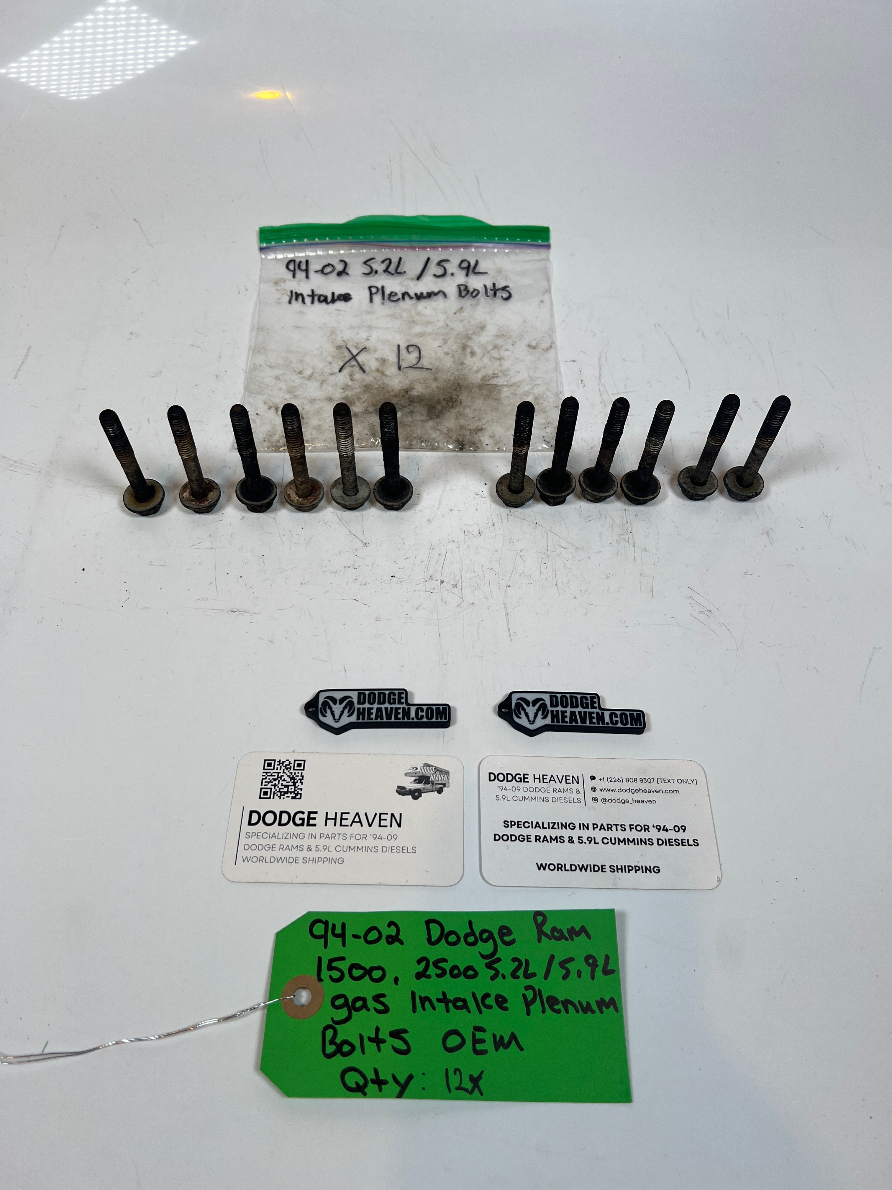 1994-2002 Dodge Ram 1500 2500 5.2L / 5.9l Gas Intake Plenum Bolts Qty 12