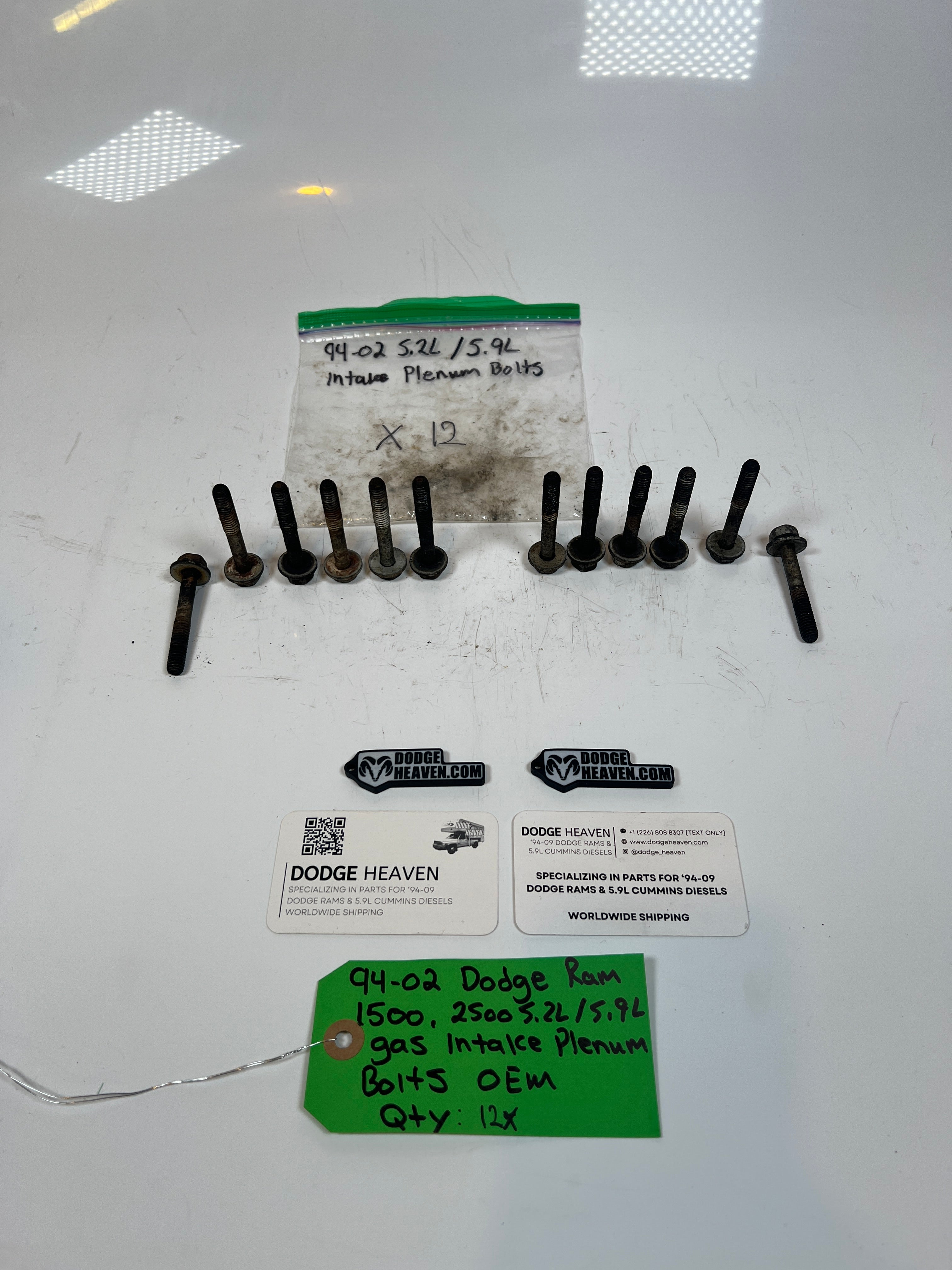1994-2002 Dodge Ram 1500 2500 5.2L / 5.9l Gas Intake Plenum Bolts Qty 12