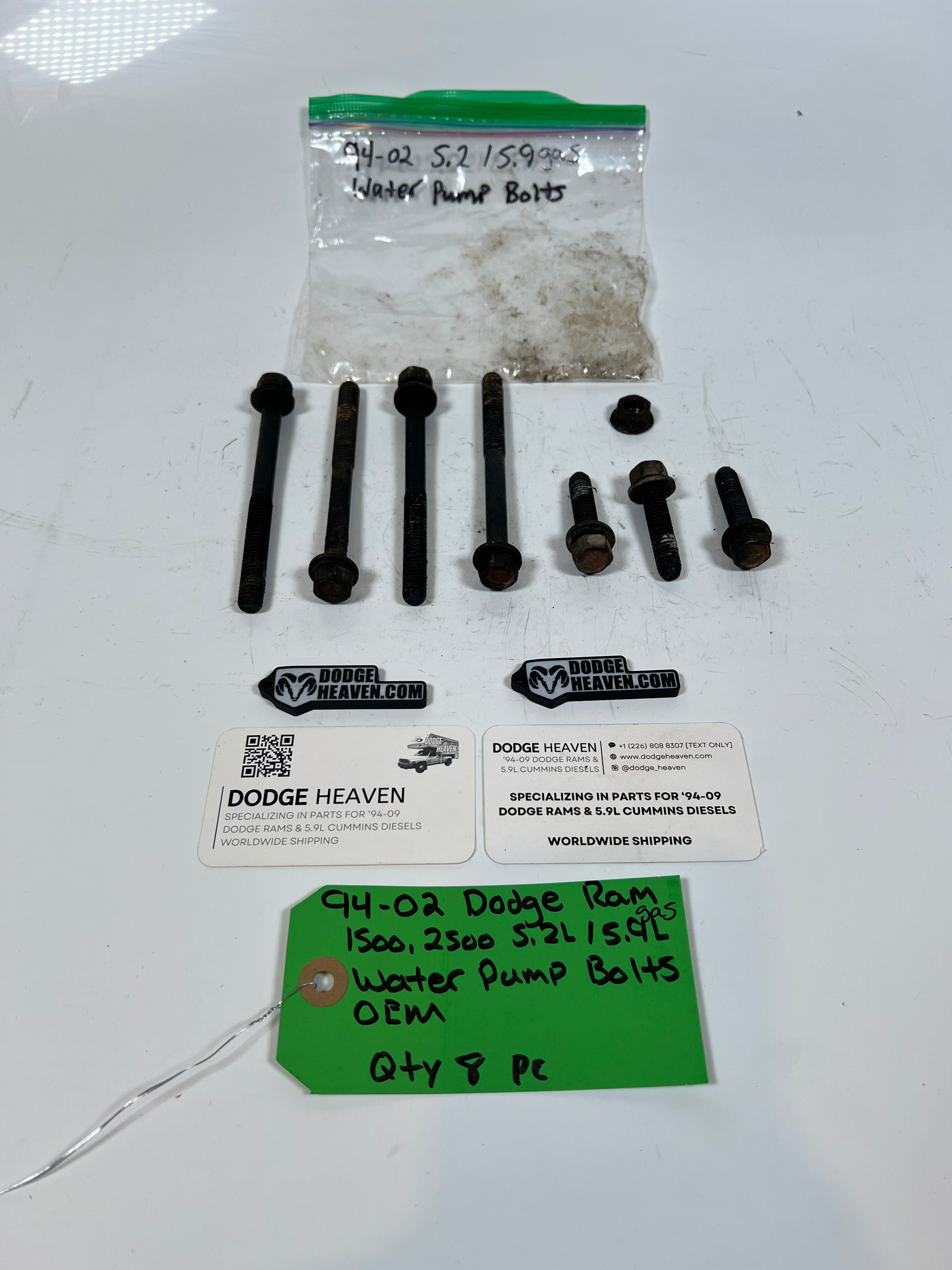 1994-2002 Dodge Ram 1500 2500 5.2L/5.9L Water Pump Bolts QTY 8