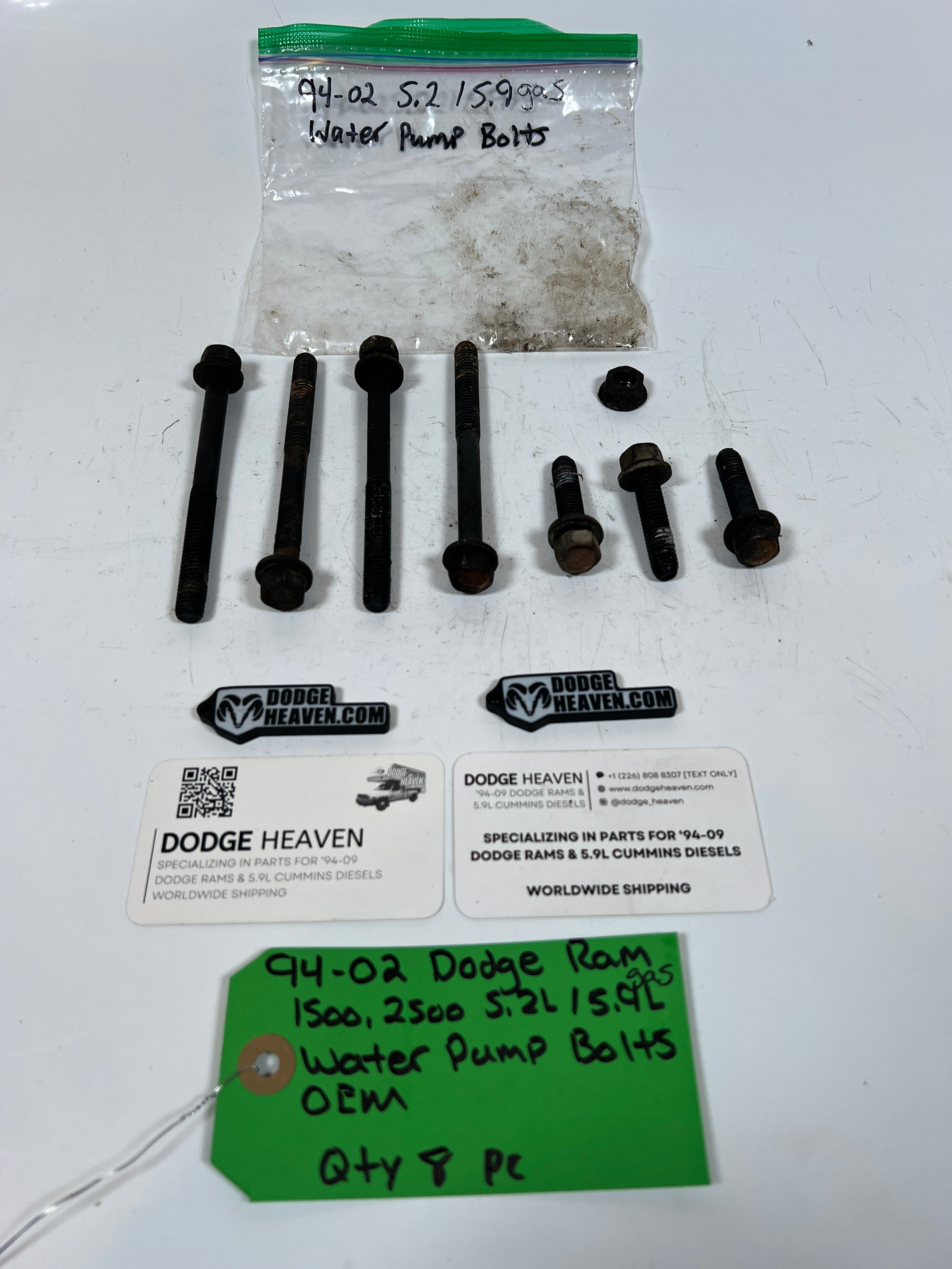 1994-2002 Dodge Ram 1500 2500 5.2L/5.9L Water Pump Bolts QTY 8