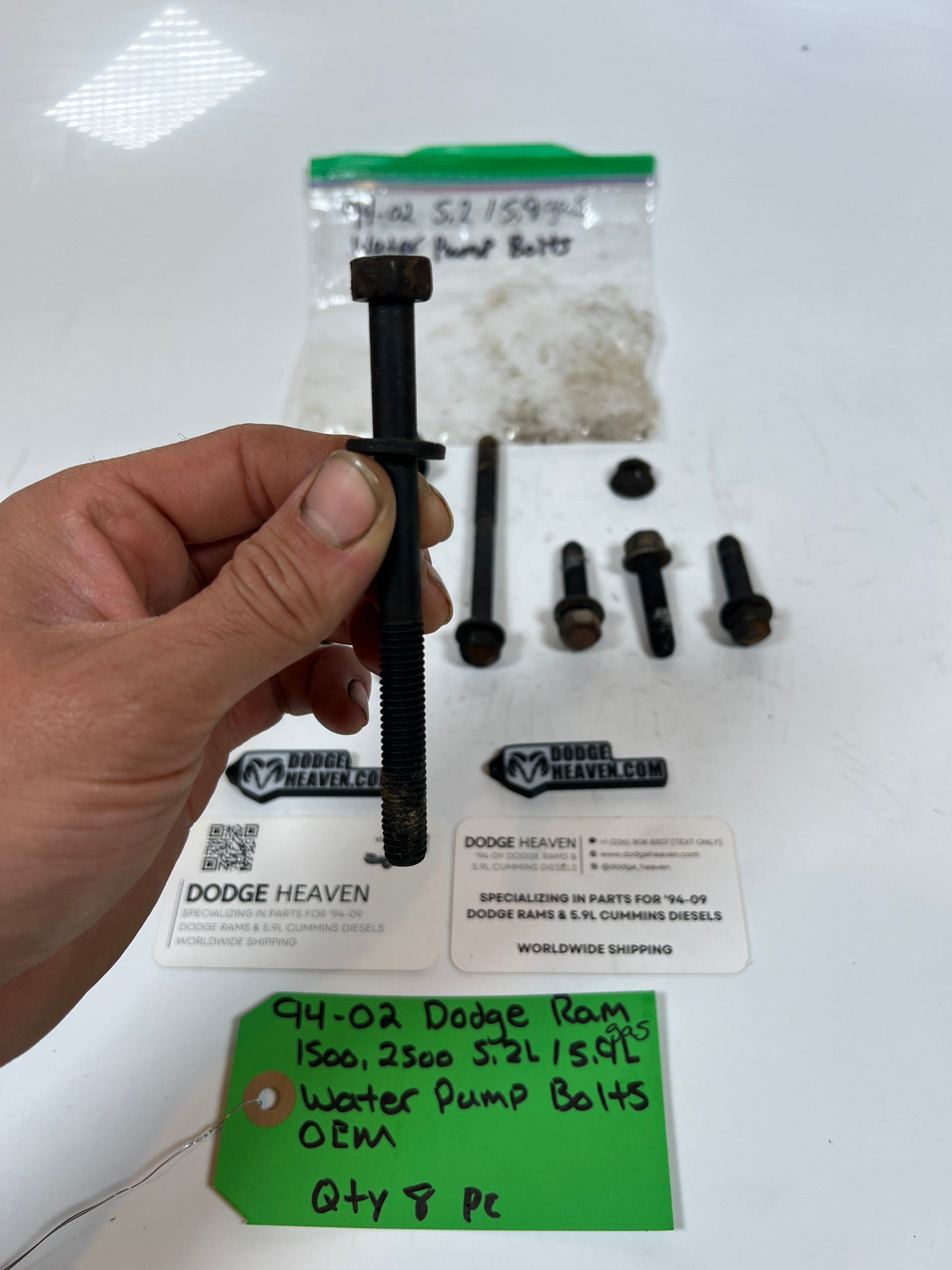 1994-2002 Dodge Ram 1500 2500 5.2L/5.9L Water Pump Bolts QTY 8