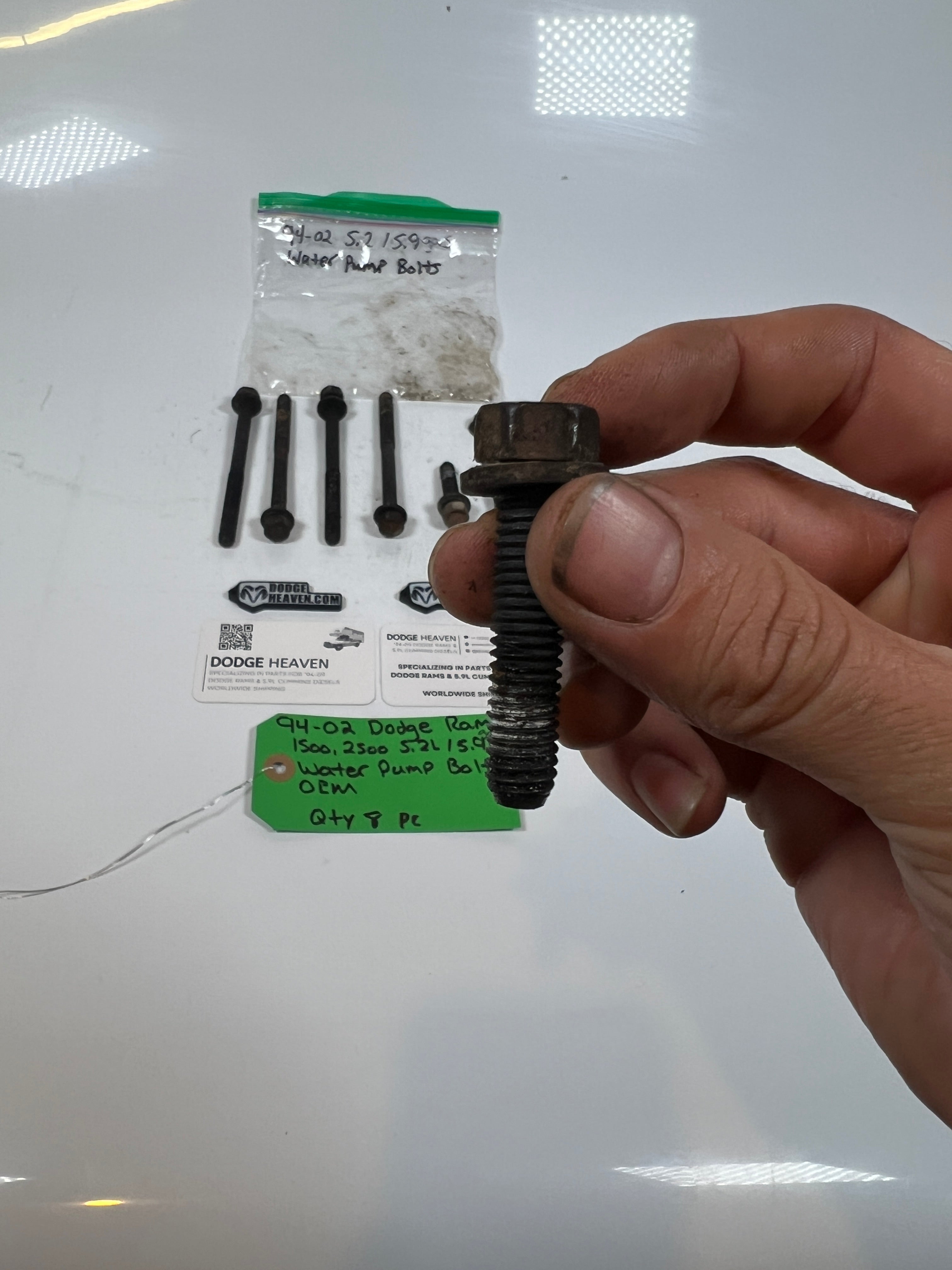 1994-2002 Dodge Ram 1500 2500 5.2L/5.9L Water Pump Bolts QTY 8