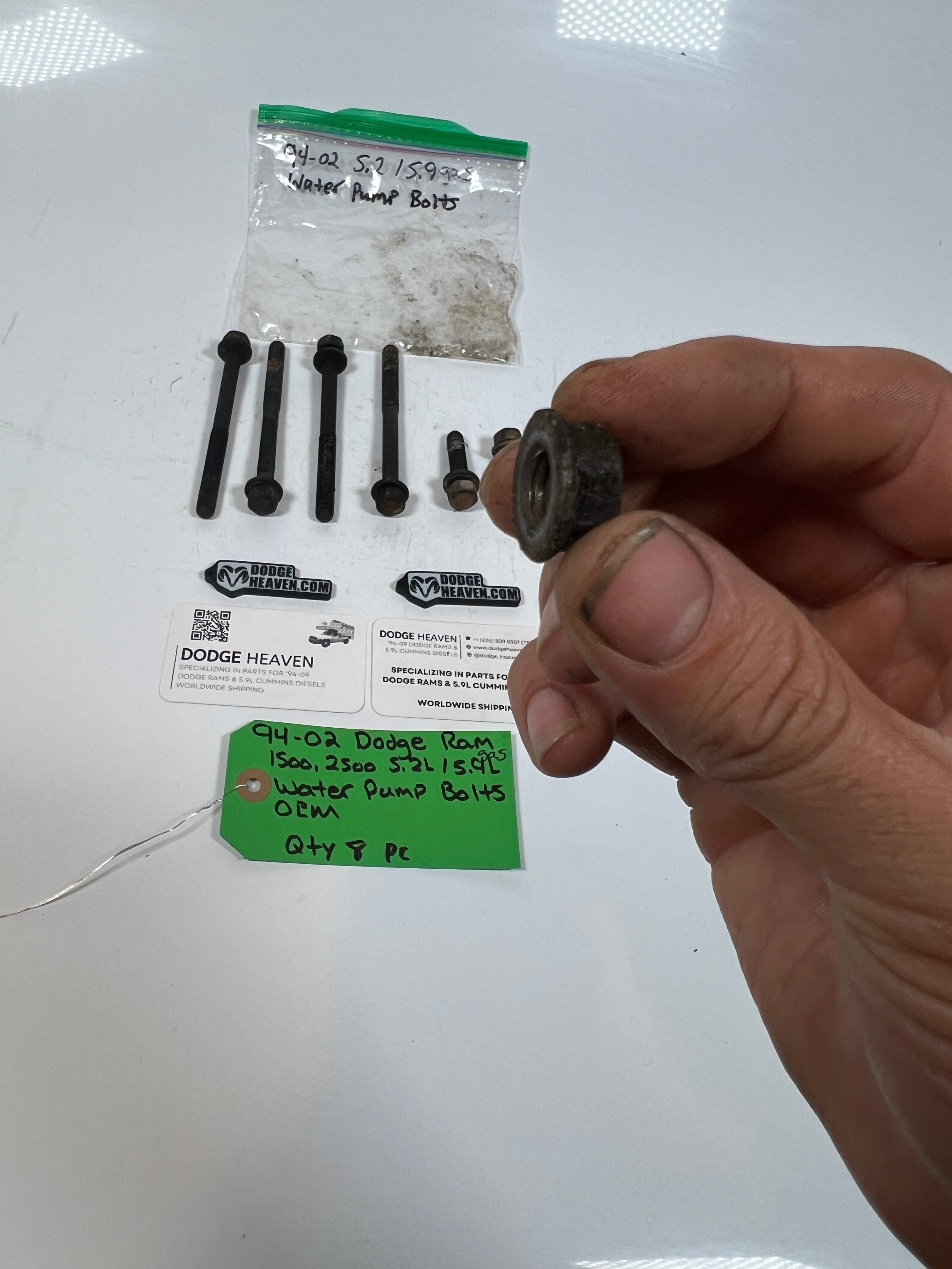 1994-2002 Dodge Ram 1500 2500 5.2L/5.9L Water Pump Bolts QTY 8