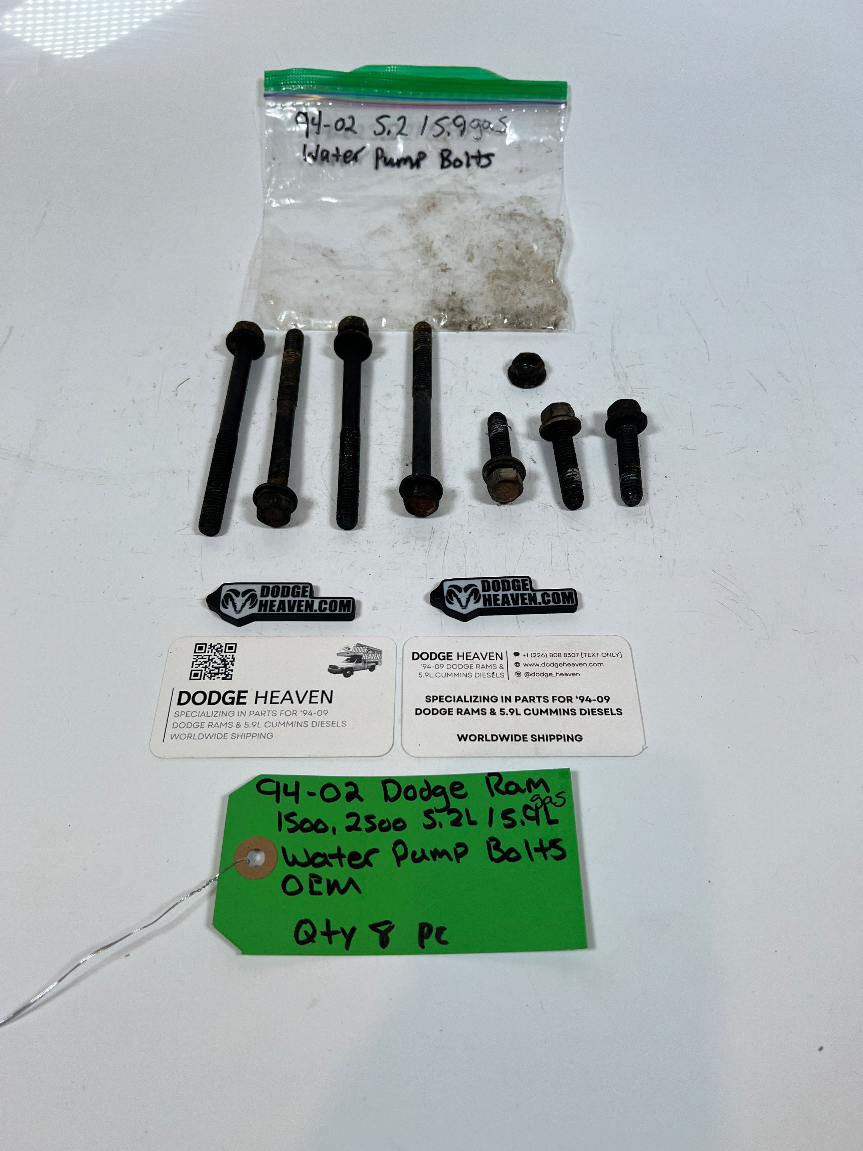 1994-2002 Dodge Ram 1500 2500 5.2L/5.9L Water Pump Bolts QTY 8