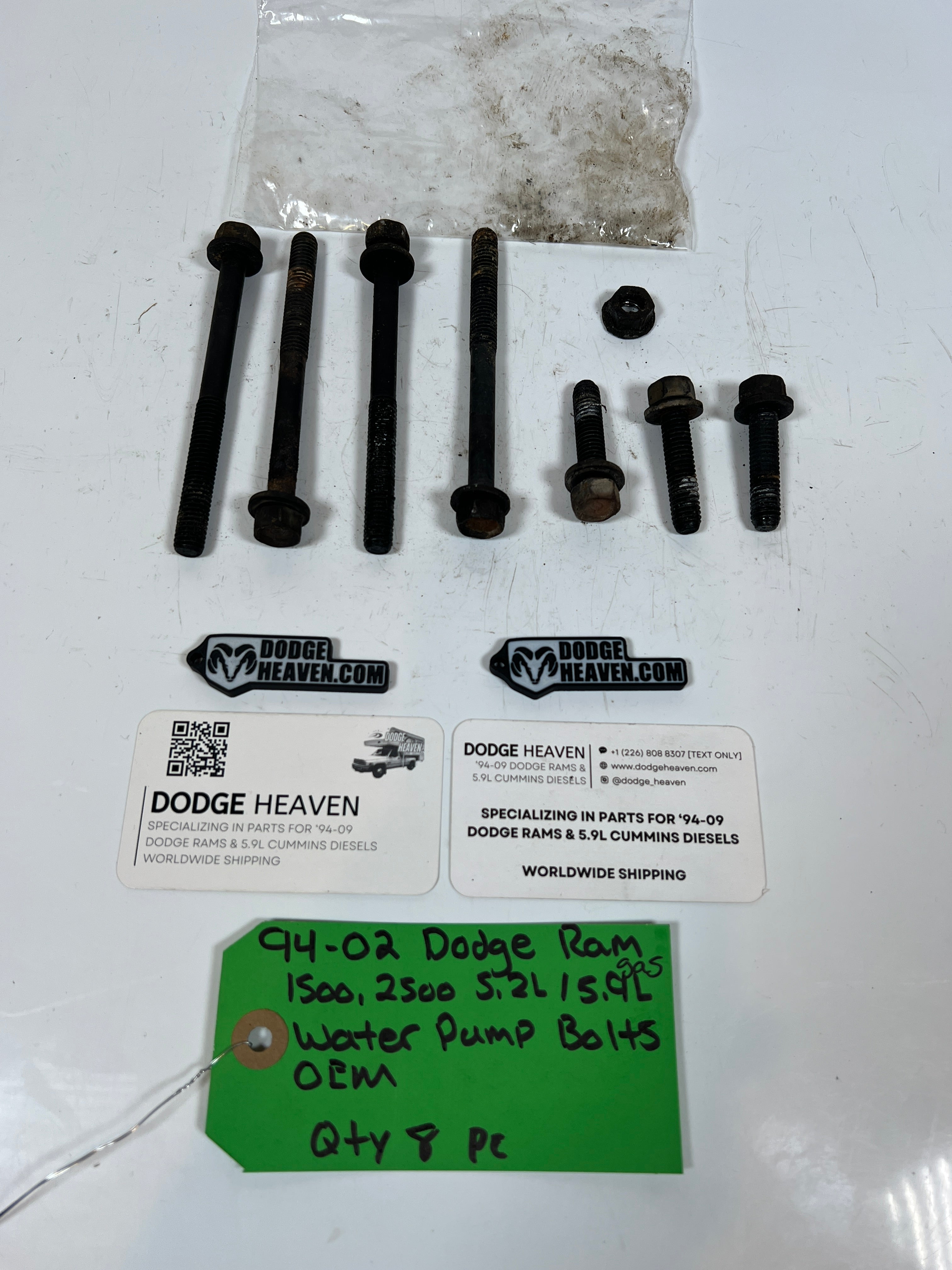 1994-2002 Dodge Ram 1500 2500 5.2L/5.9L Water Pump Bolts QTY 8