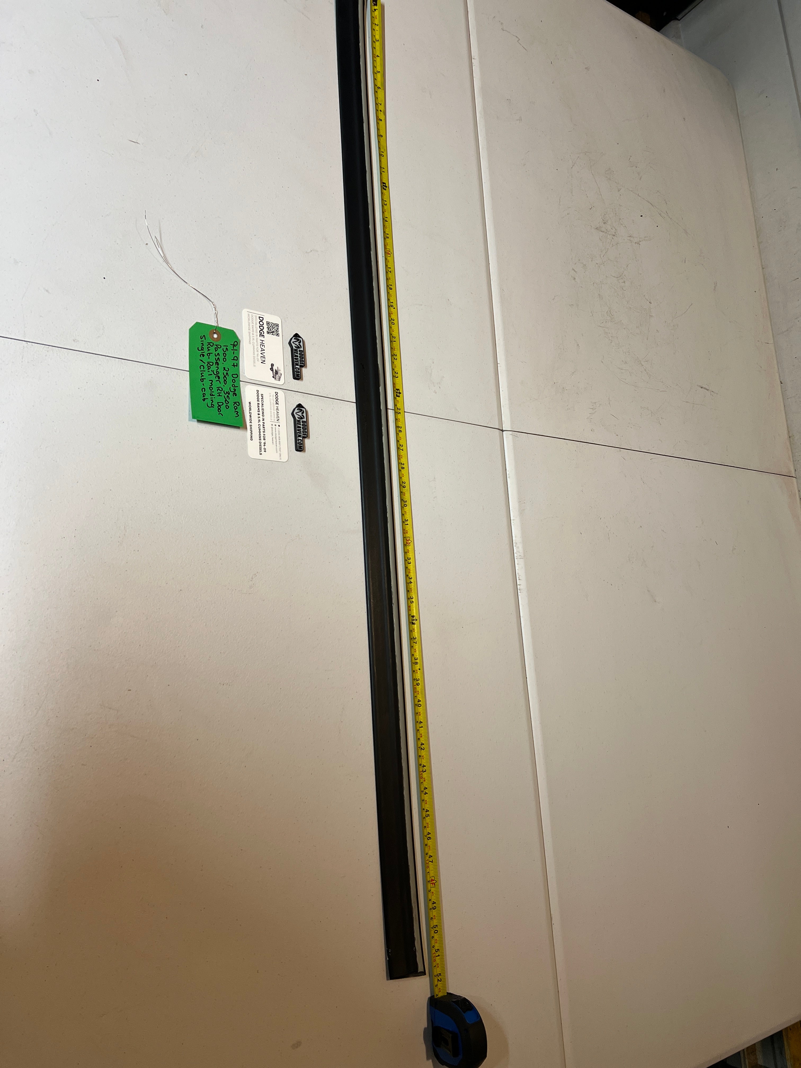 1994-1997 Dodge Ram 1500-3500 Passenger Door Rub Rail Molding Single / Club Cab