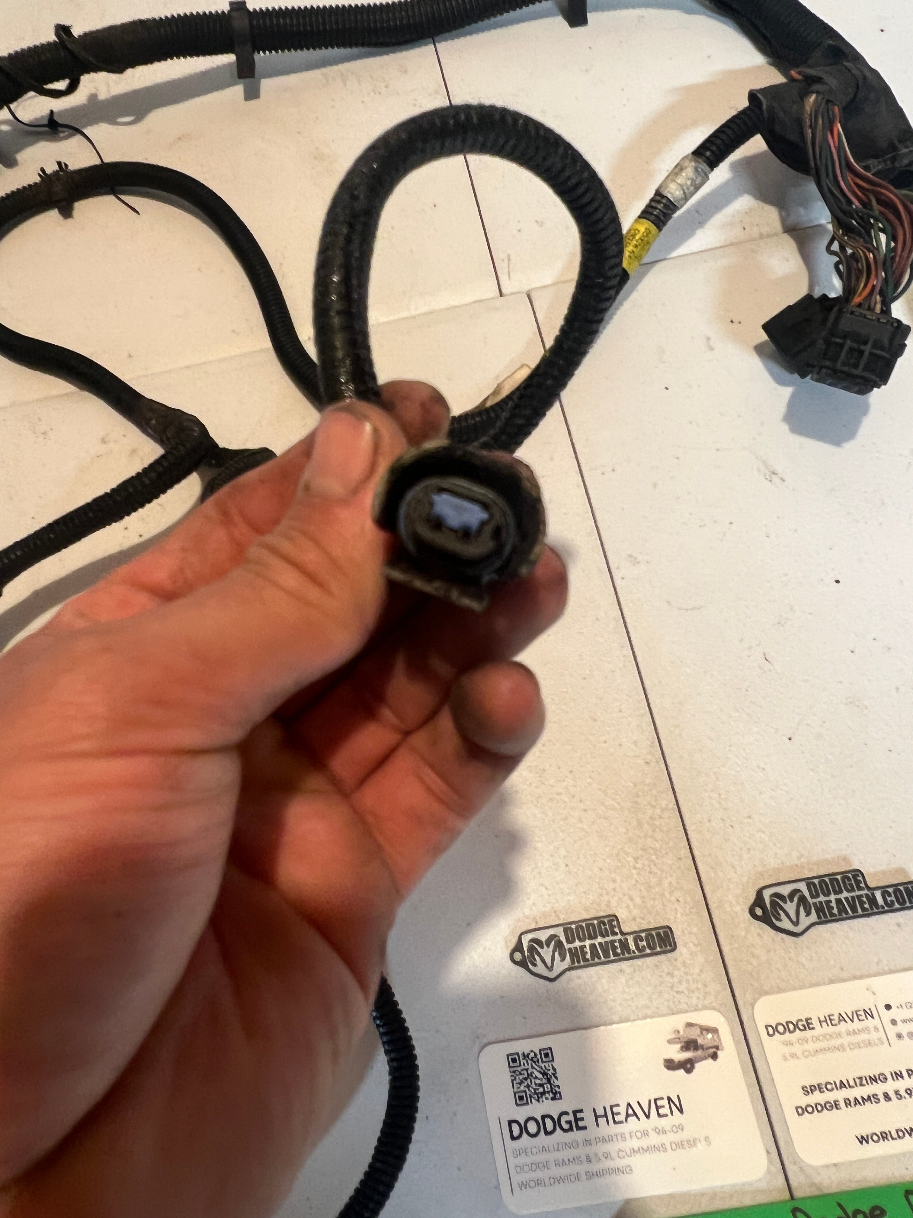 1999-2002 Dodge Ram 5.9L 24V Cummins Auto Trans Wiring Harness