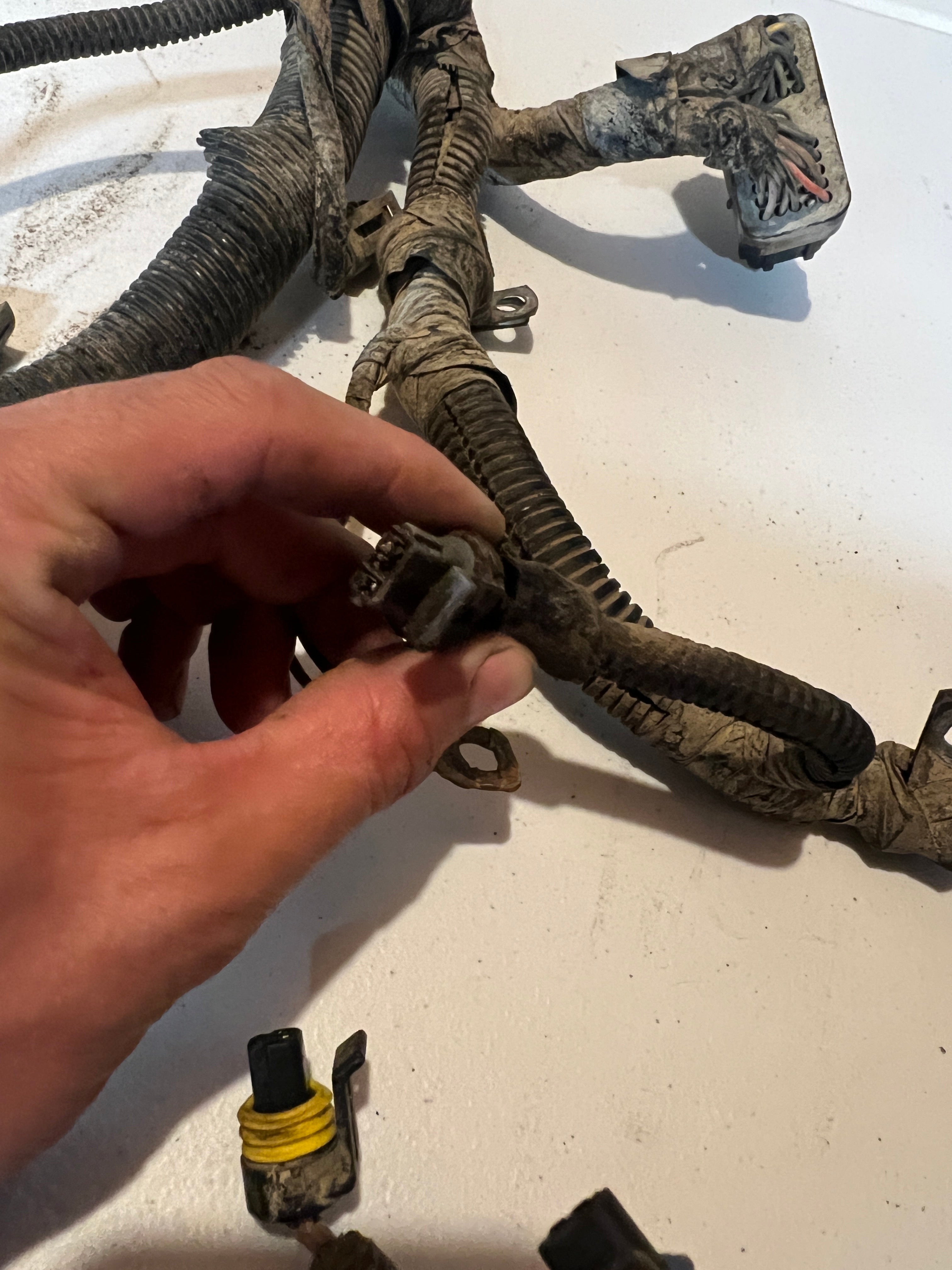 1998.5-1998.5 Dodge Ram 2500 3500 5.9L 24 Valve Cummins Engine Harness