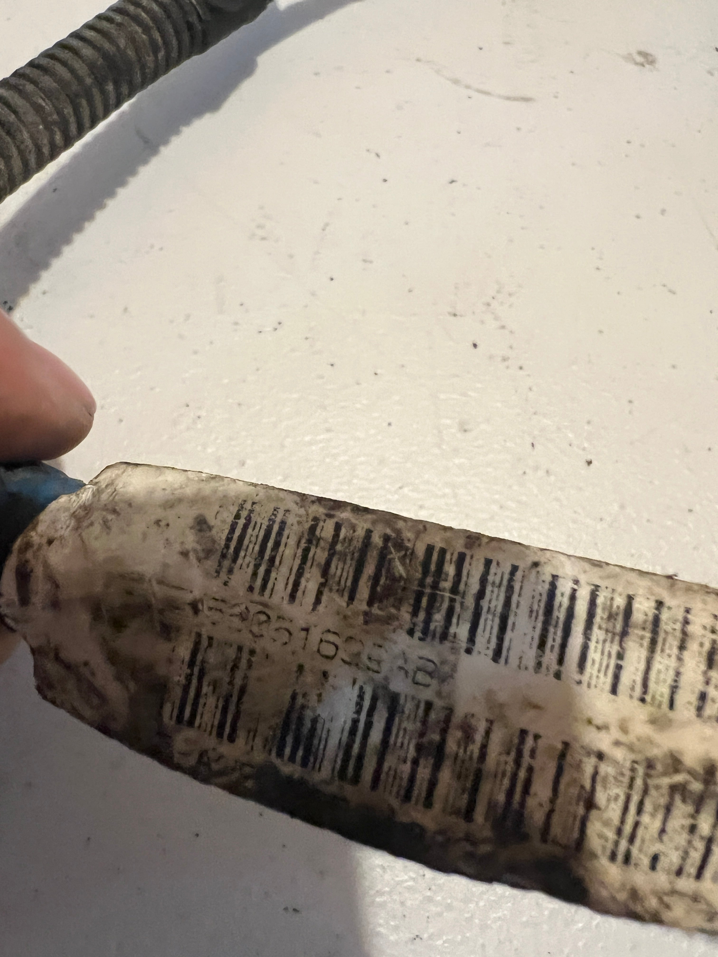 2006-2006 Dodge Ram 2500 3500 5.9L Cummins Transmission Wiring Harness