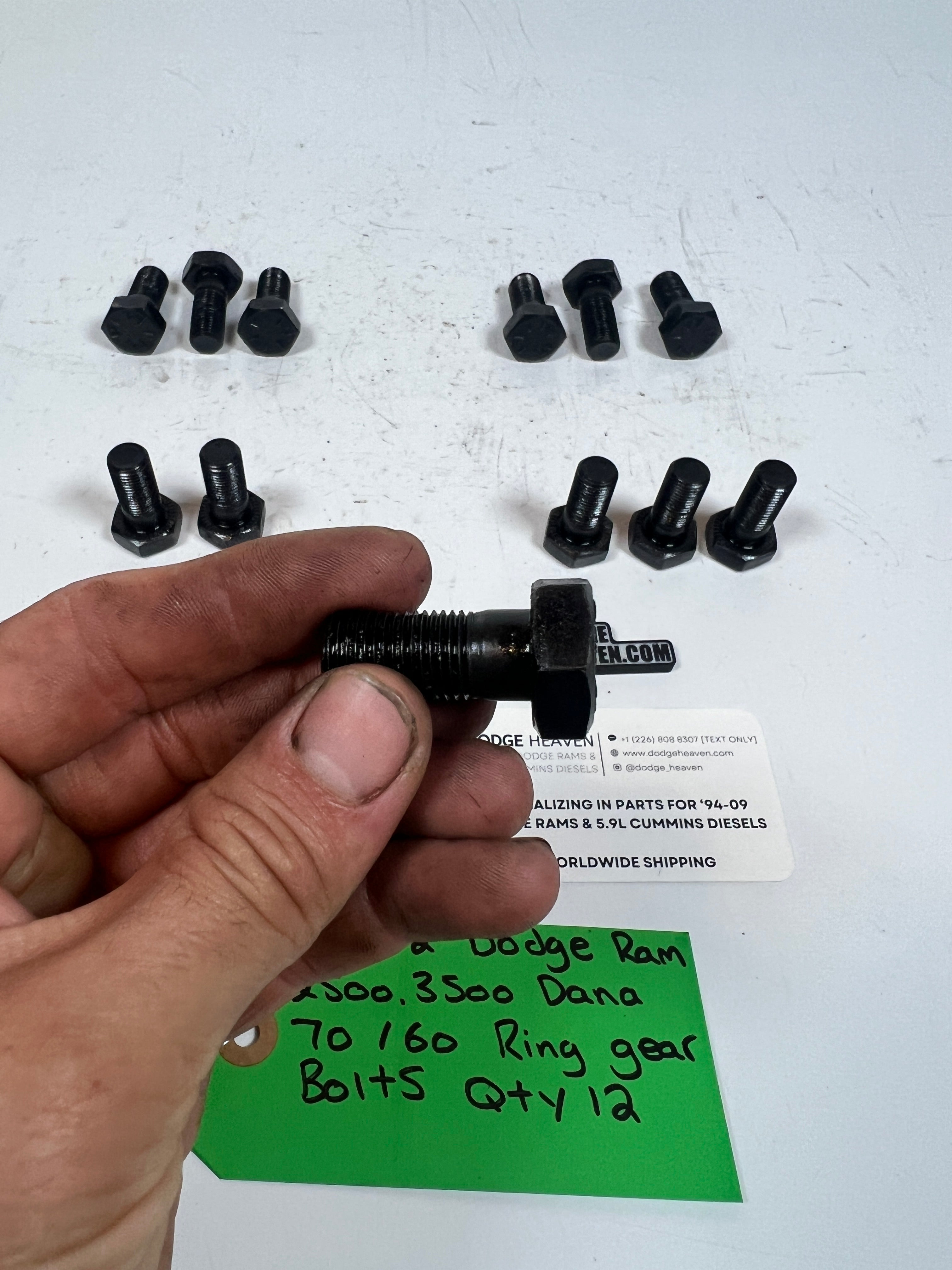 1994-1998 Dodge Ram 2500 Dana 60 / 70 Ring Gear Bolts QTY 12