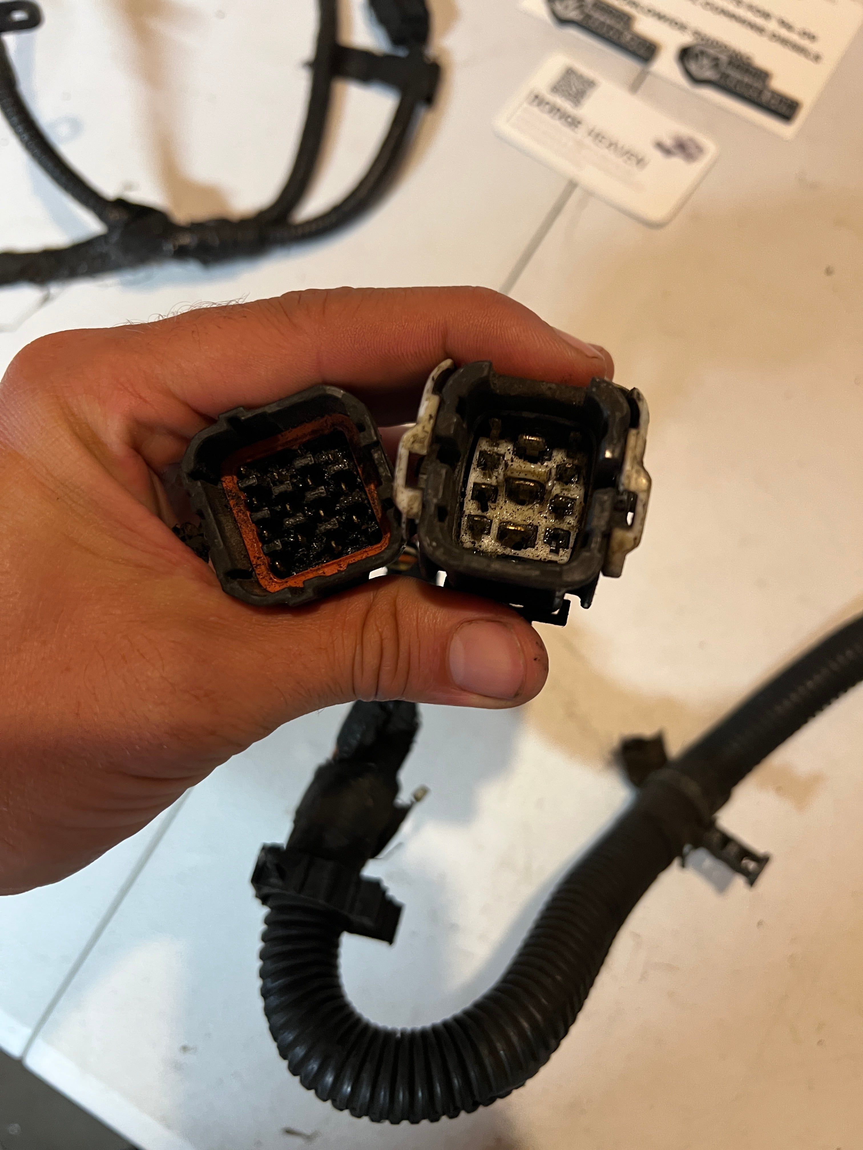 1999-1999 Dodge Ram 5.9L 24 Valve Cummins Engine Wiring Harness Auto Trans