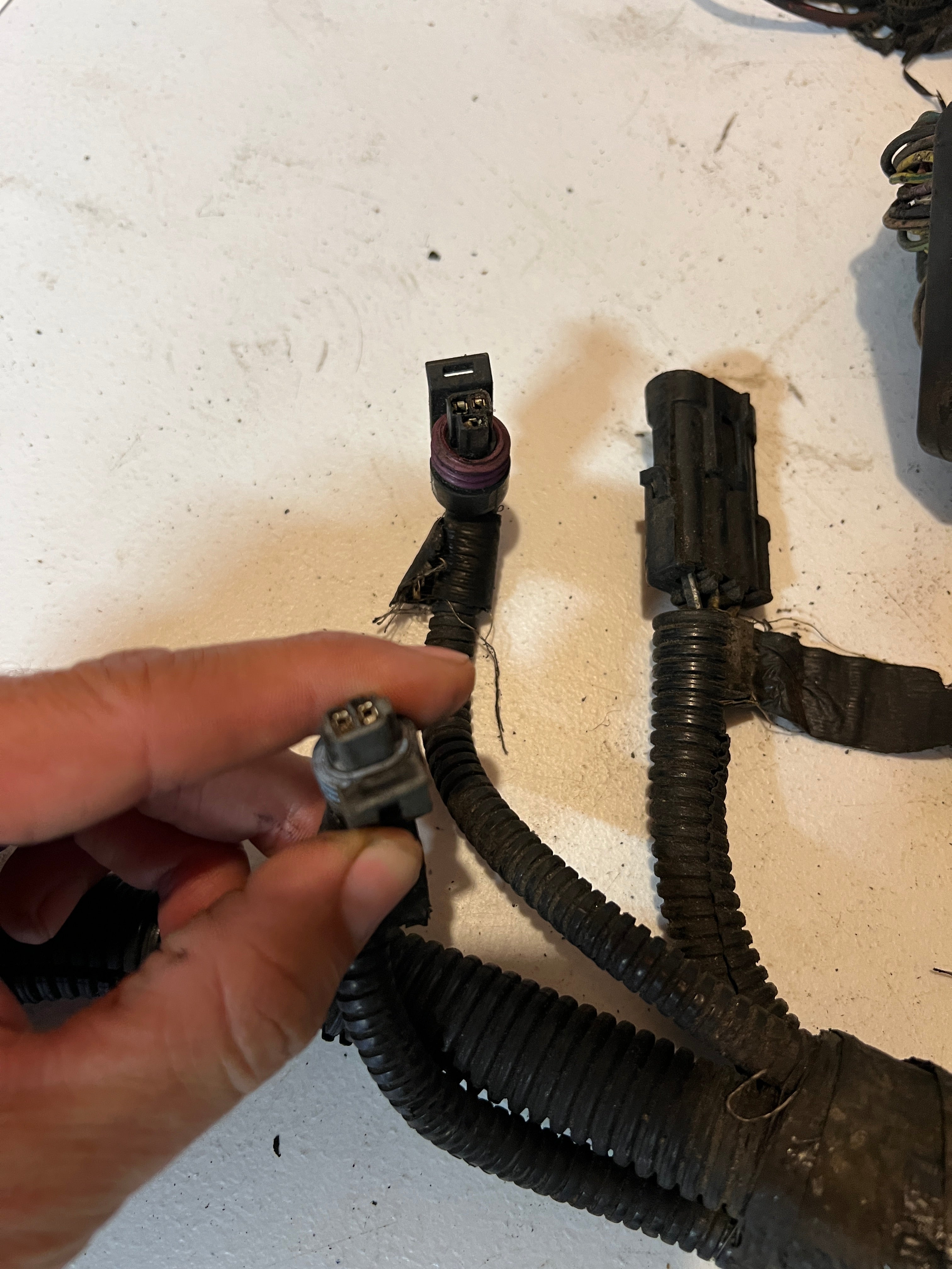 1999-1999 Dodge Ram 5.9L 24 Valve Cummins Engine Wiring Harness Auto Trans