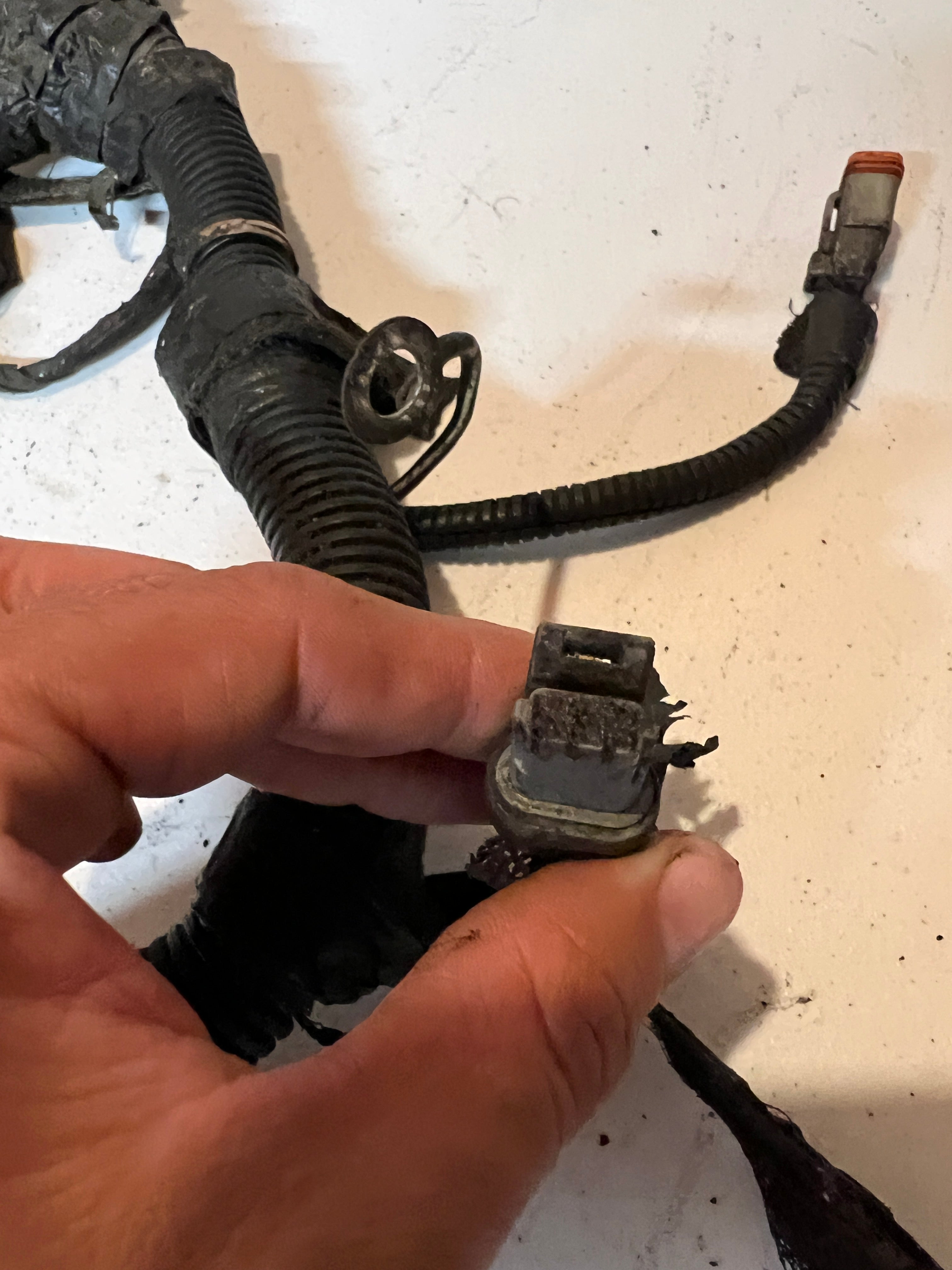1999-1999 Dodge Ram 5.9L 24 Valve Cummins Engine Wiring Harness Auto Trans