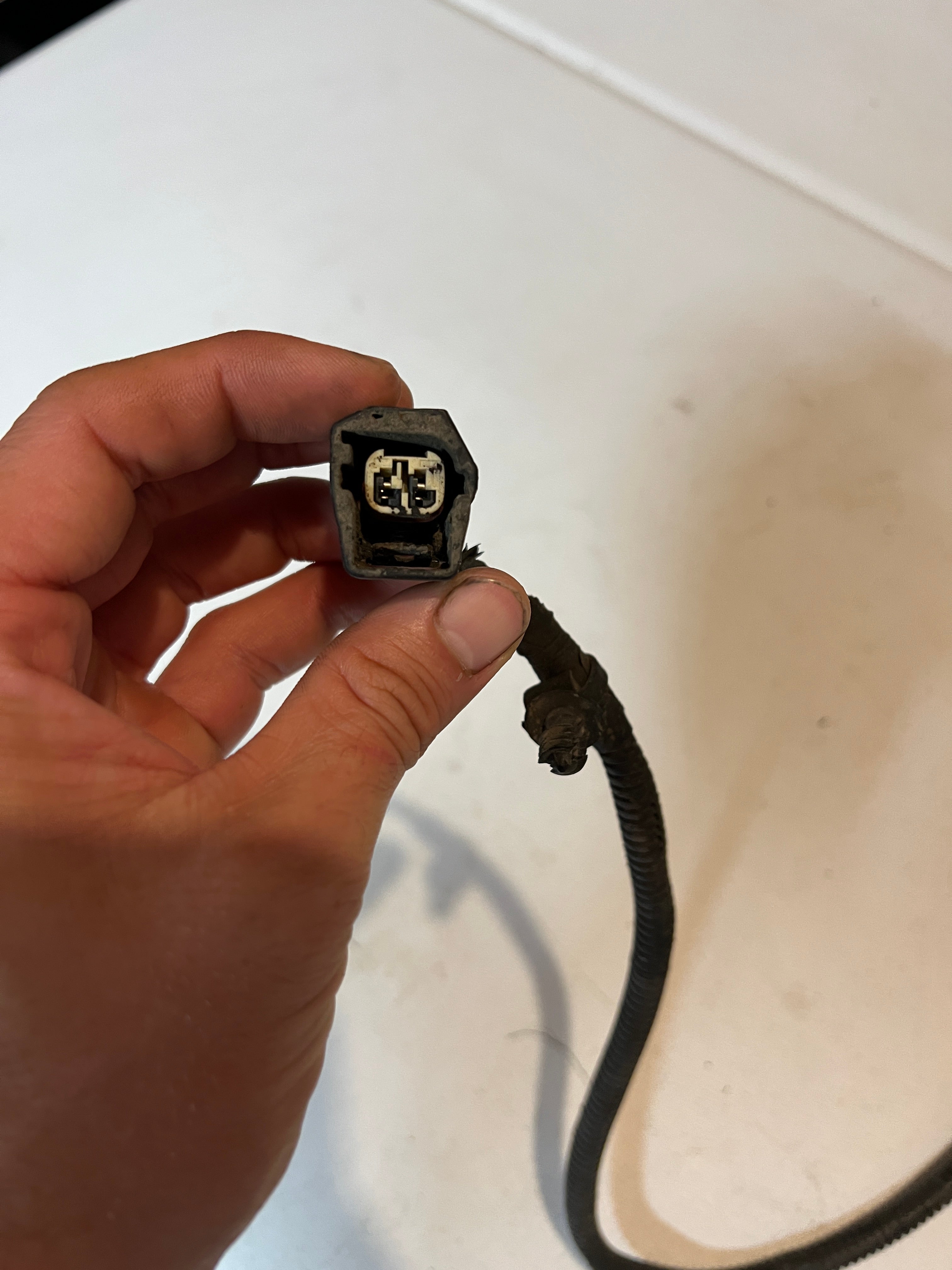2003-2003 Dodge Ram Passenger Head Lamp / Light Wiring Harness