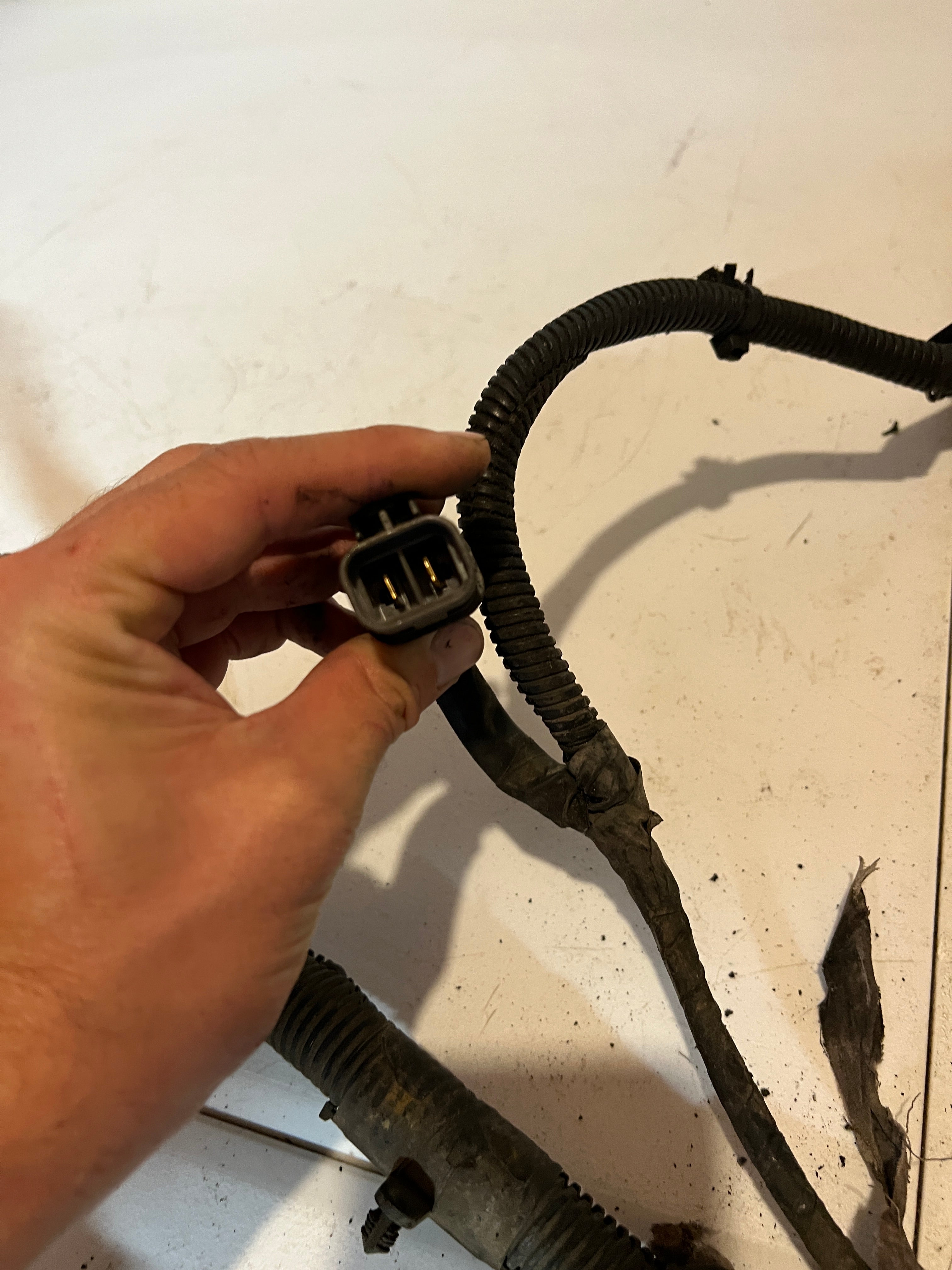 1996-1996 Dodge Ram 5.9L 12 V Cummins Engine Bay Wiring Harness