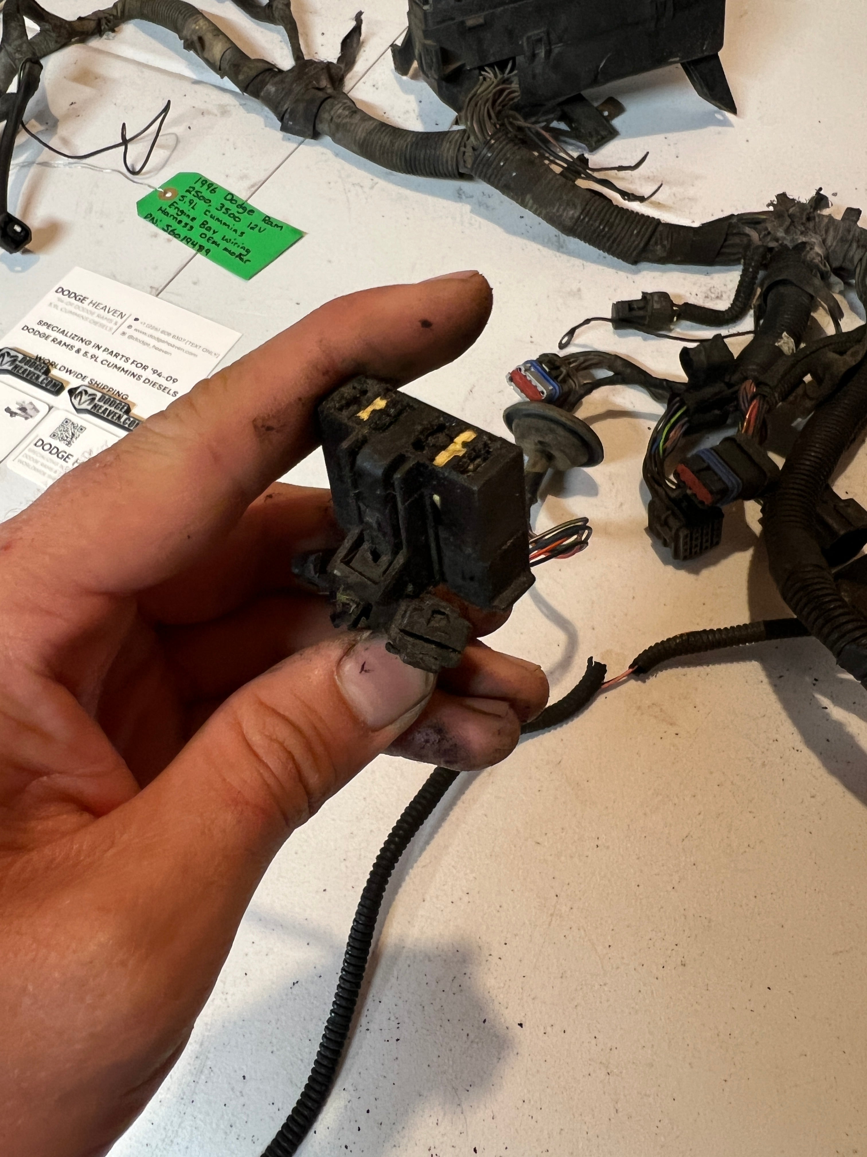 1996-1996 Dodge Ram 5.9L 12 V Cummins Engine Bay Wiring Harness