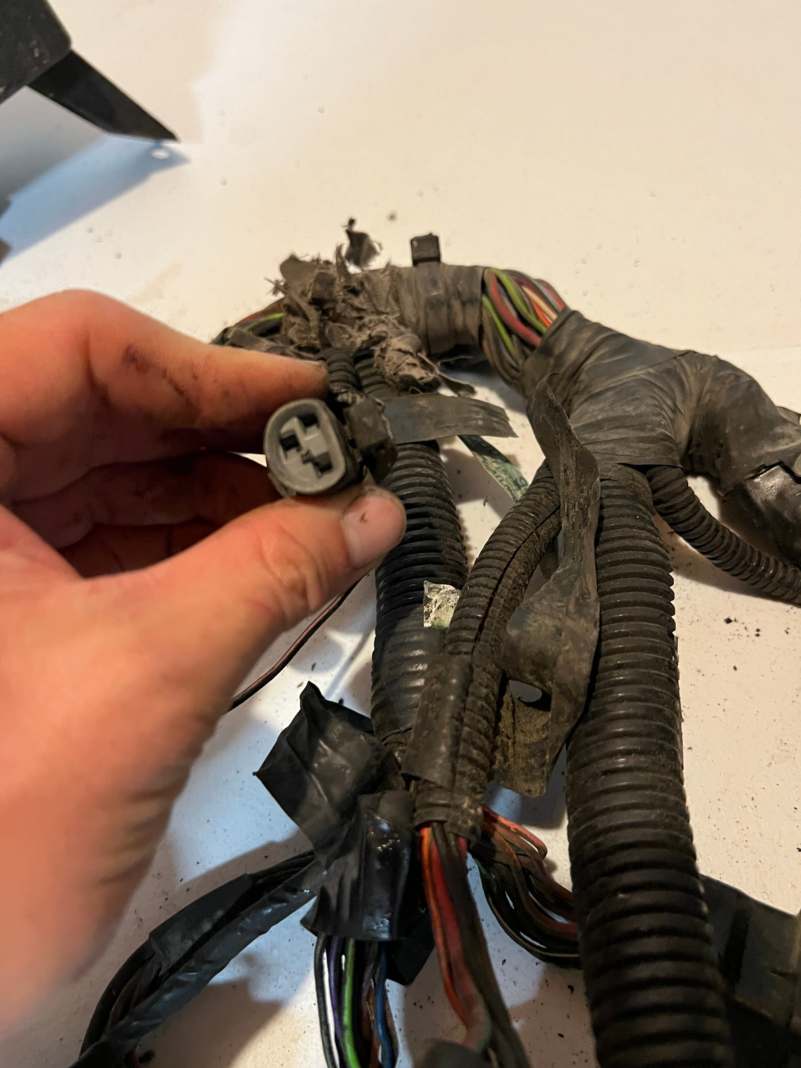 1996-1996 Dodge Ram 5.9L 12 V Cummins Engine Bay Wiring Harness