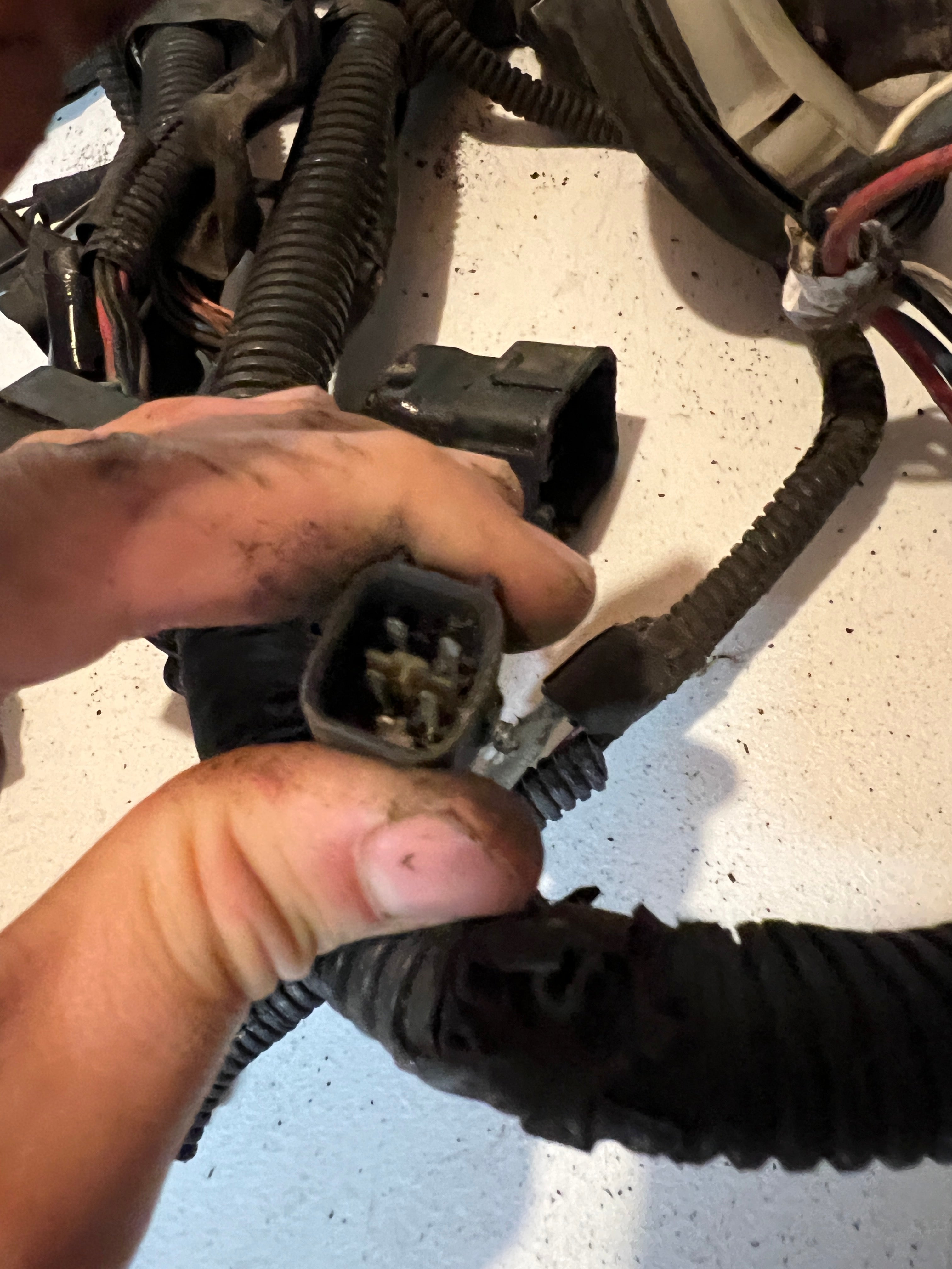1996-1996 Dodge Ram 5.9L 12 V Cummins Engine Bay Wiring Harness