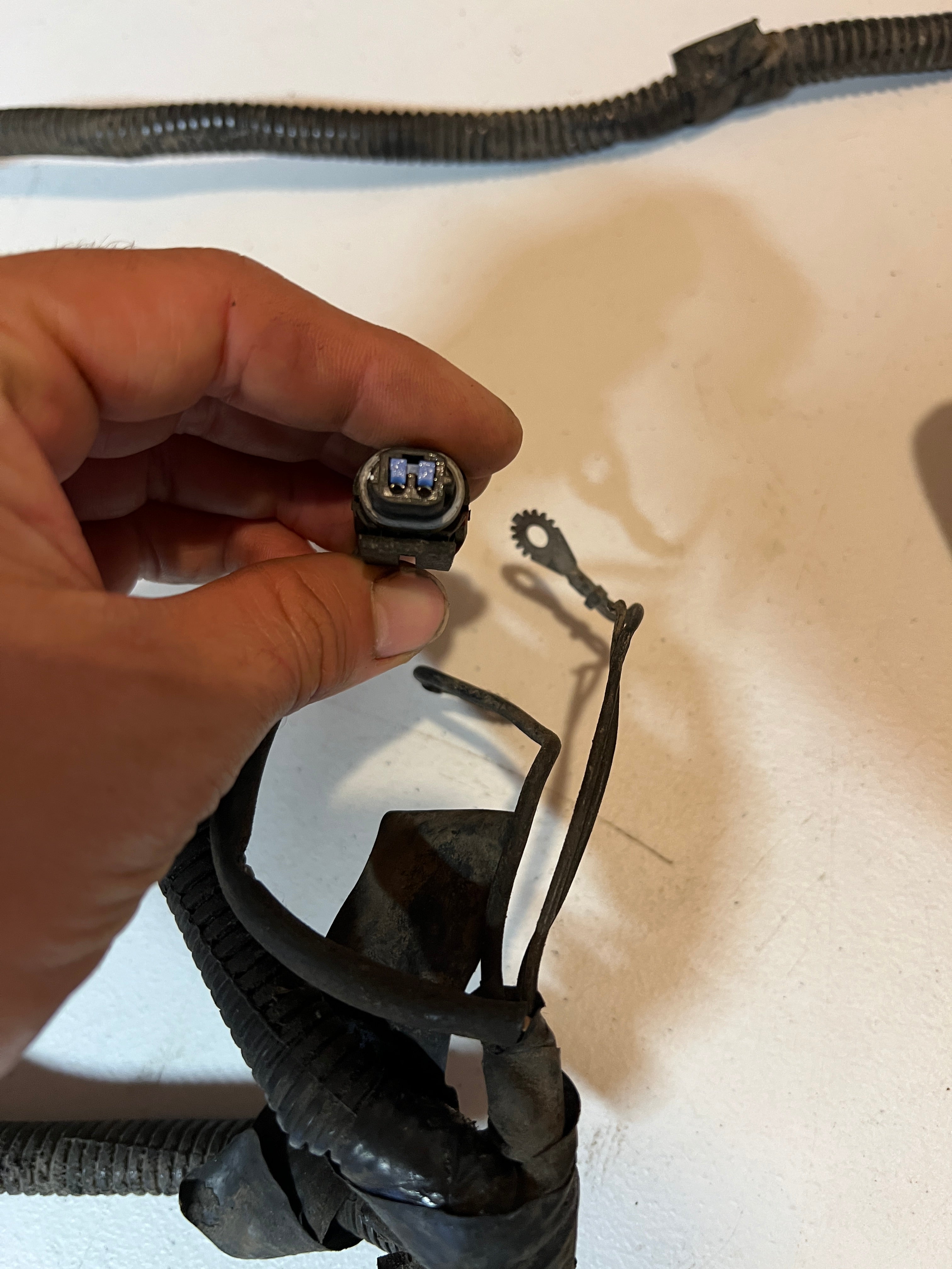 1996-1996 Dodge Ram 5.9L 12 V Cummins Engine Bay Wiring Harness