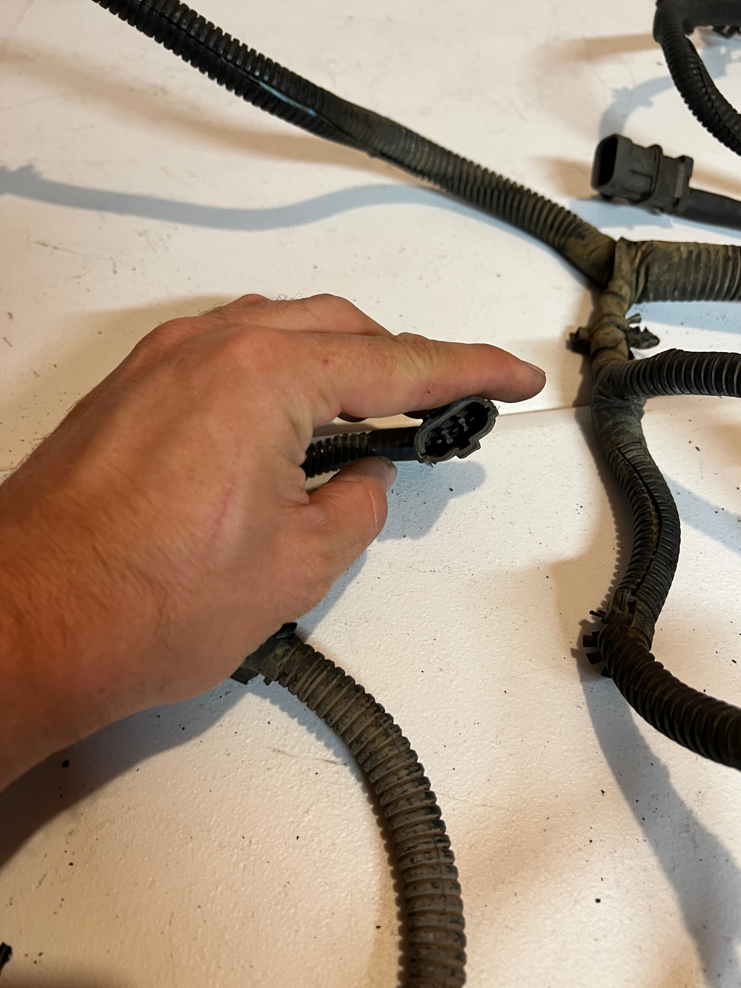 1996-1996 Dodge Ram 5.9L 12 V Cummins Engine Bay Wiring Harness