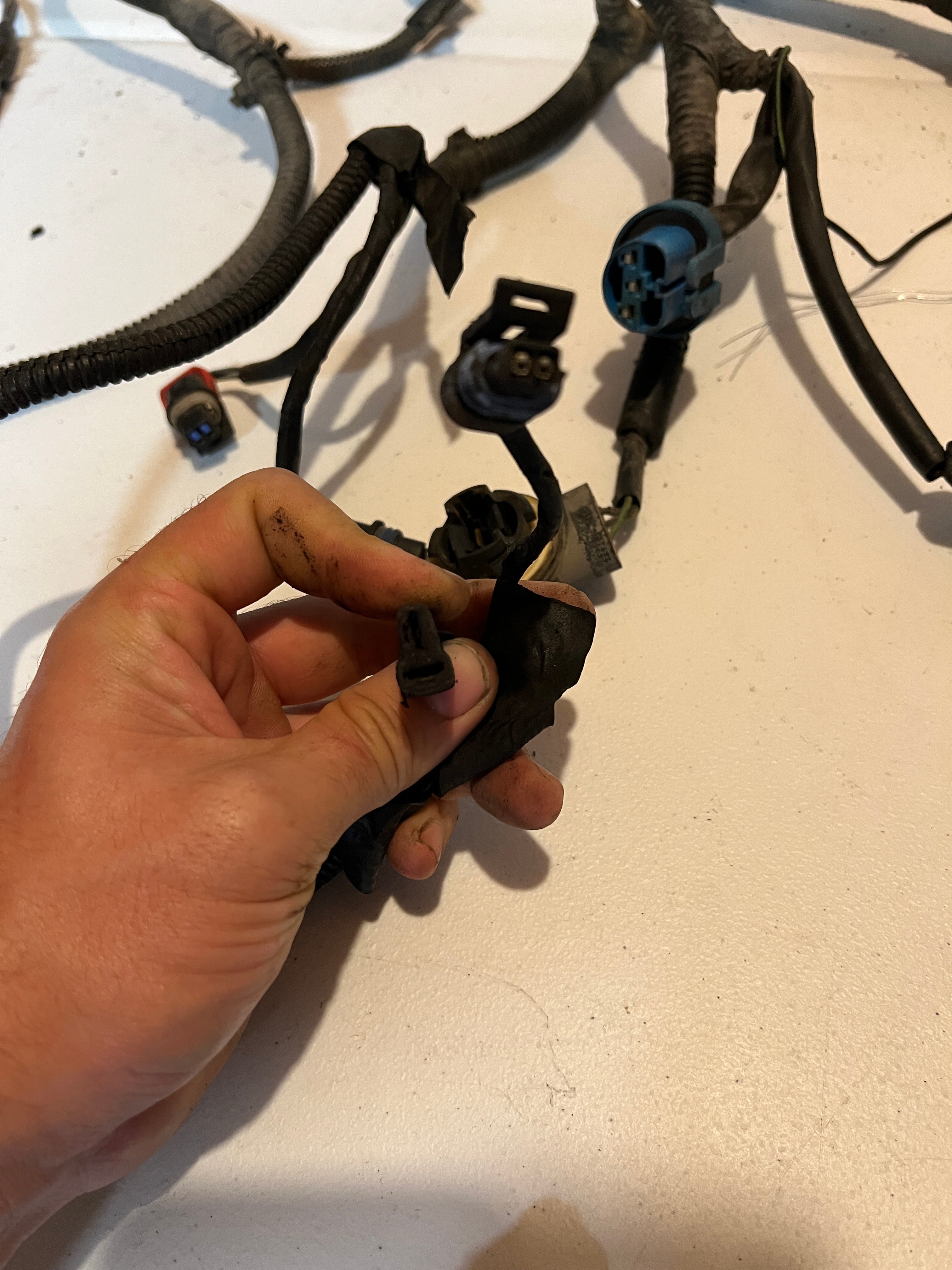 1996-1996 Dodge Ram 5.9L 12 V Cummins Engine Bay Wiring Harness
