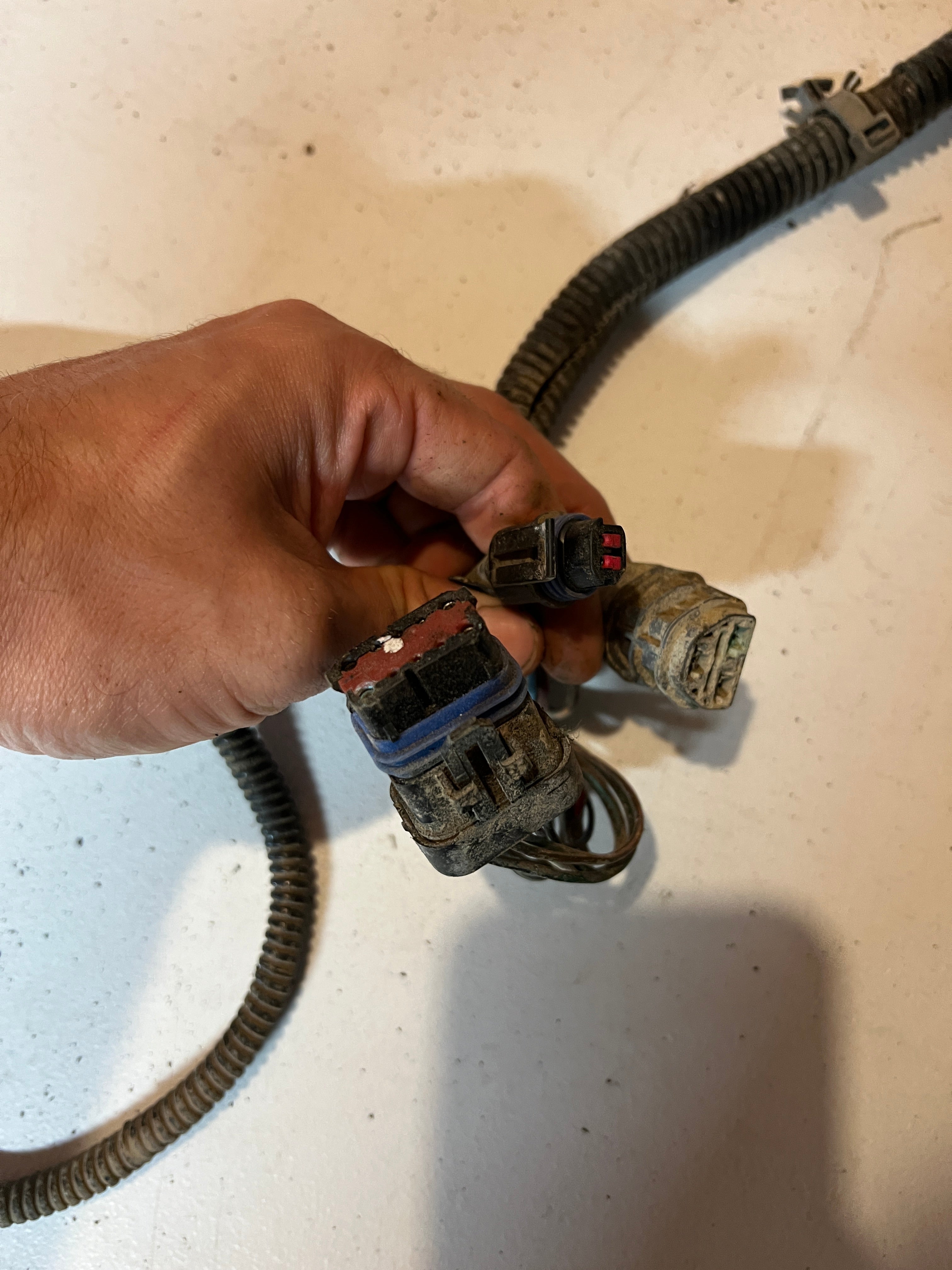 1994-1994 Doddge Ram 12 Valve 5.9L Cummins Engine Bay Wiring Harness
