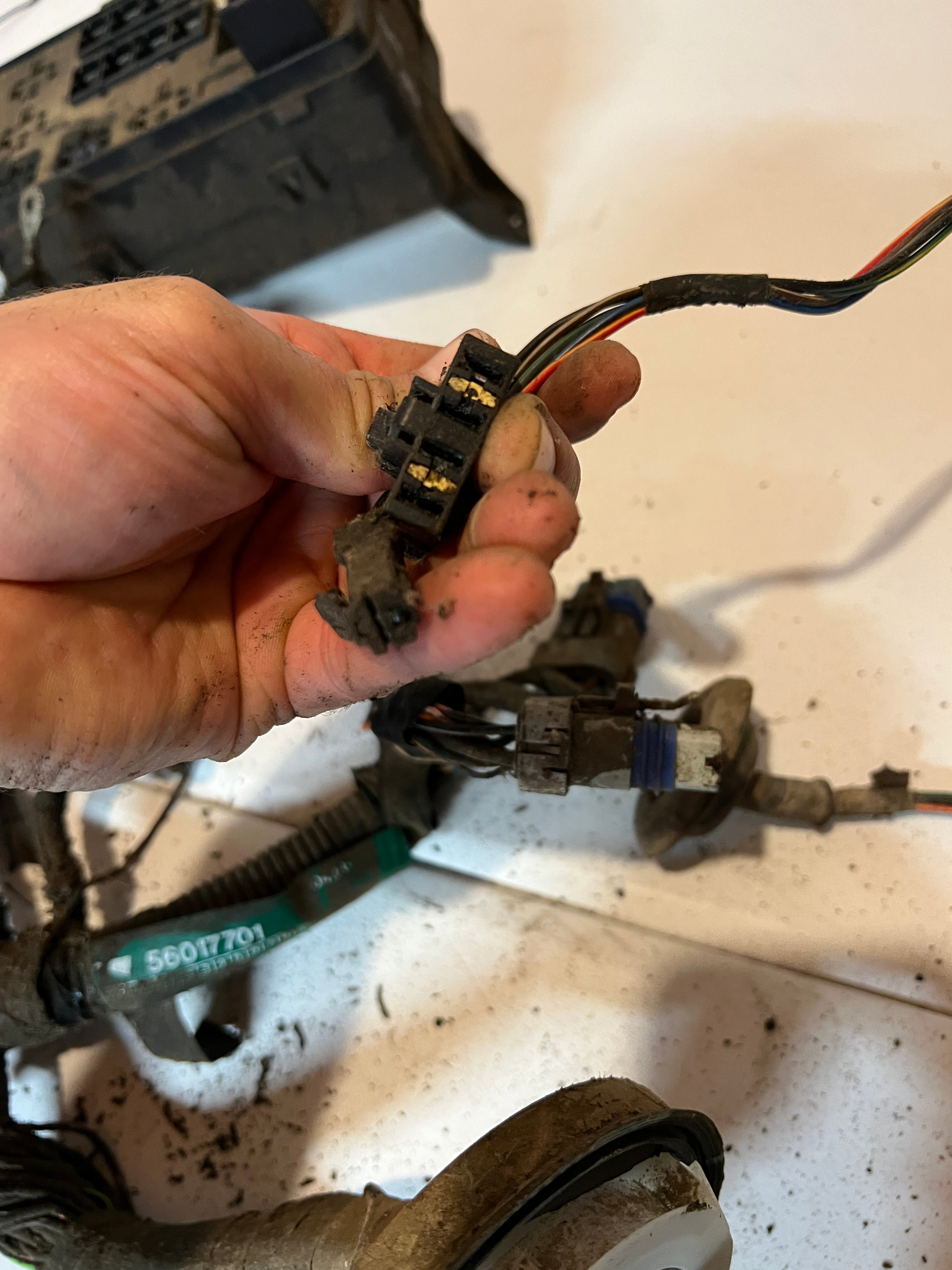 1994-1994 Doddge Ram 12 Valve 5.9L Cummins Engine Bay Wiring Harness