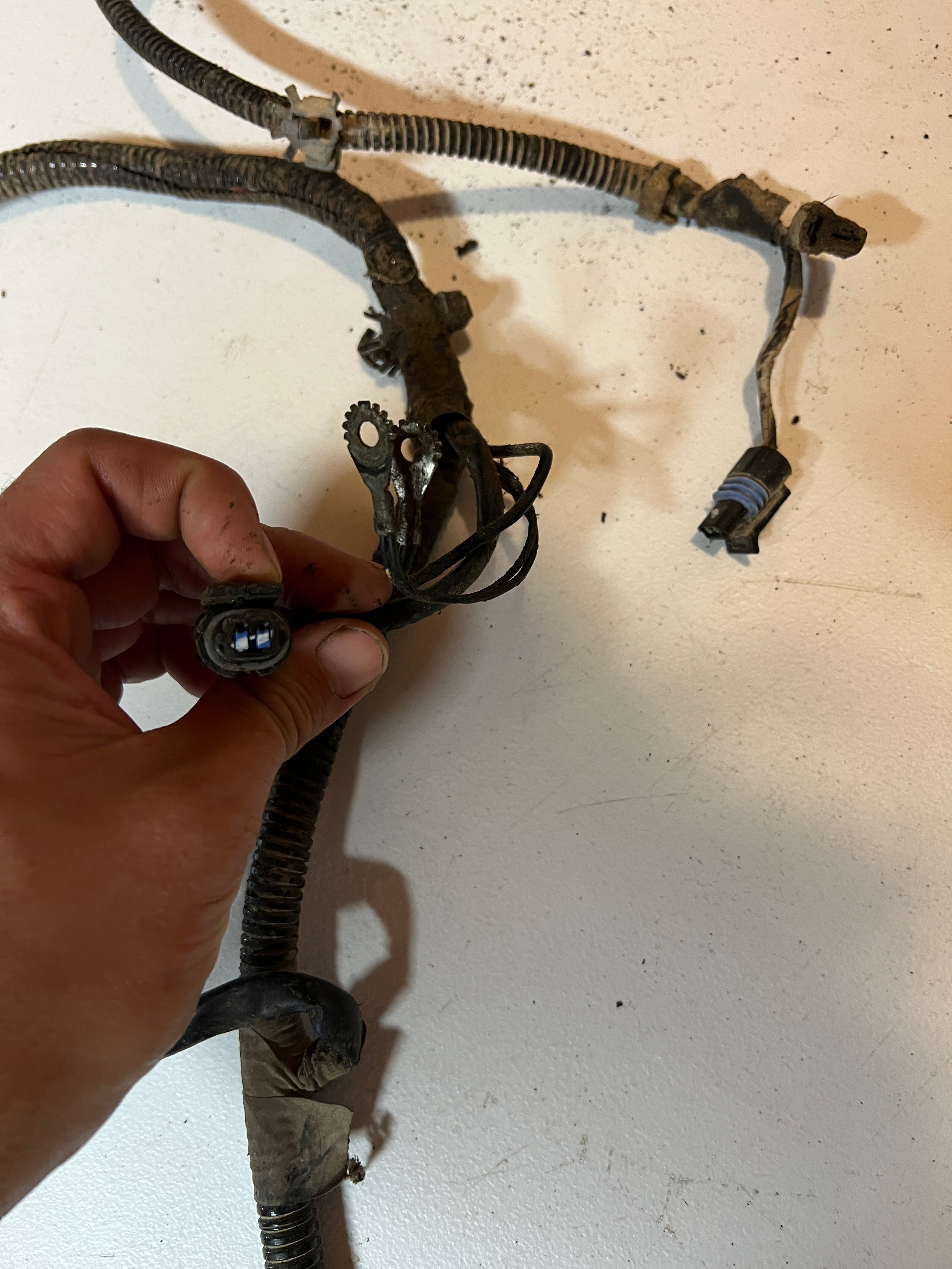 1994-1994 Doddge Ram 12 Valve 5.9L Cummins Engine Bay Wiring Harness