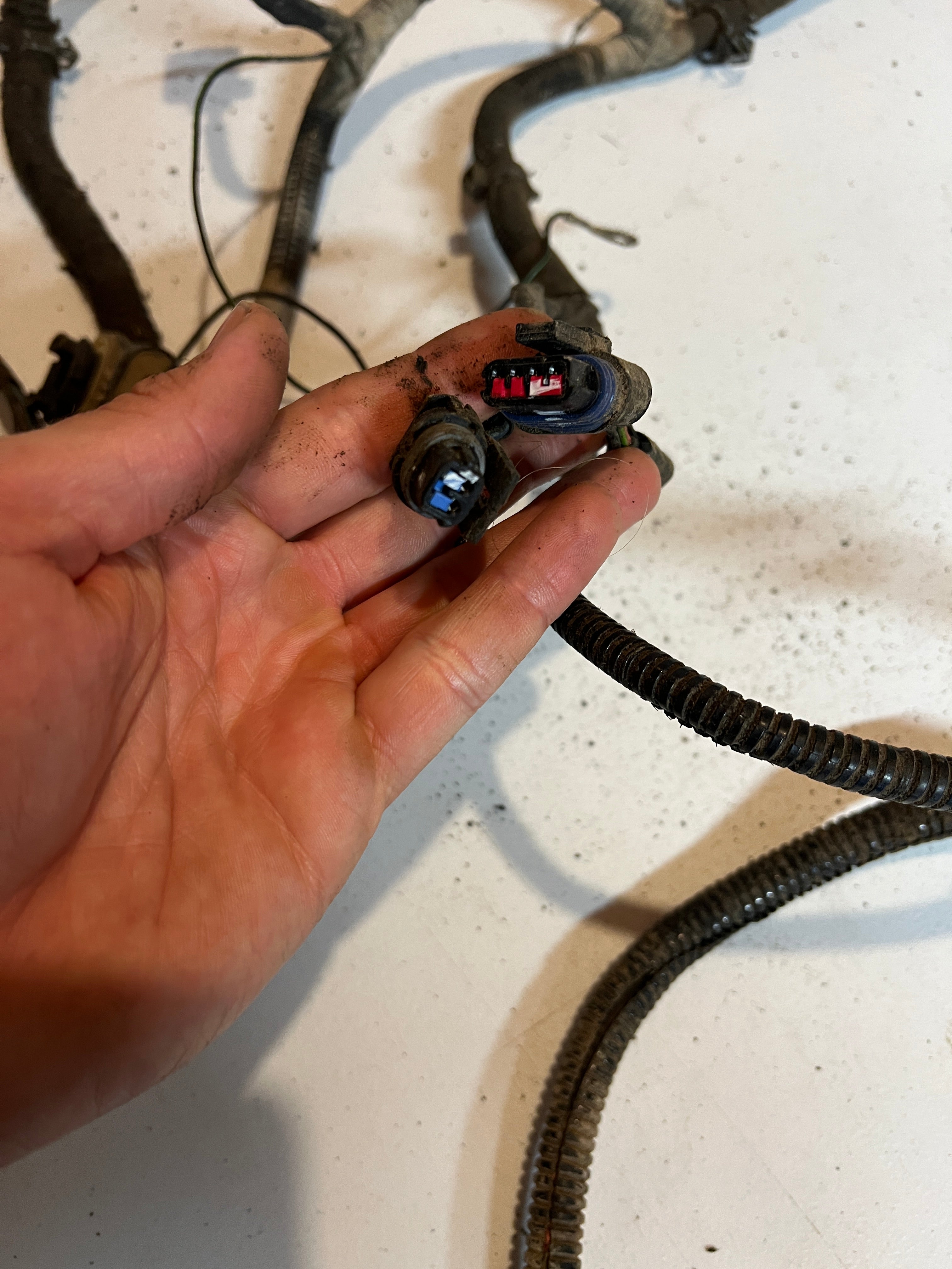 1994-1994 Doddge Ram 12 Valve 5.9L Cummins Engine Bay Wiring Harness