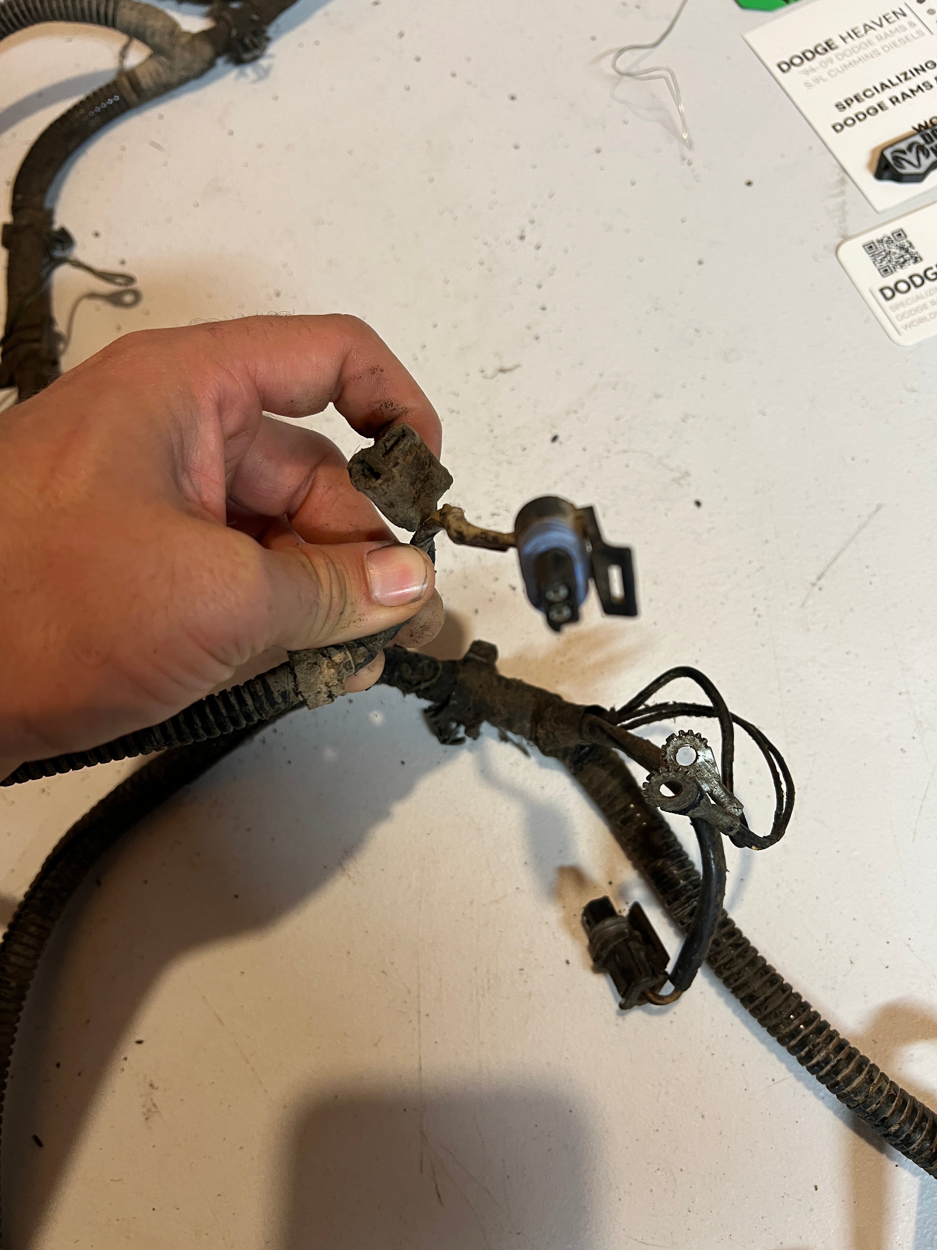 1994-1994 Doddge Ram 12 Valve 5.9L Cummins Engine Bay Wiring Harness