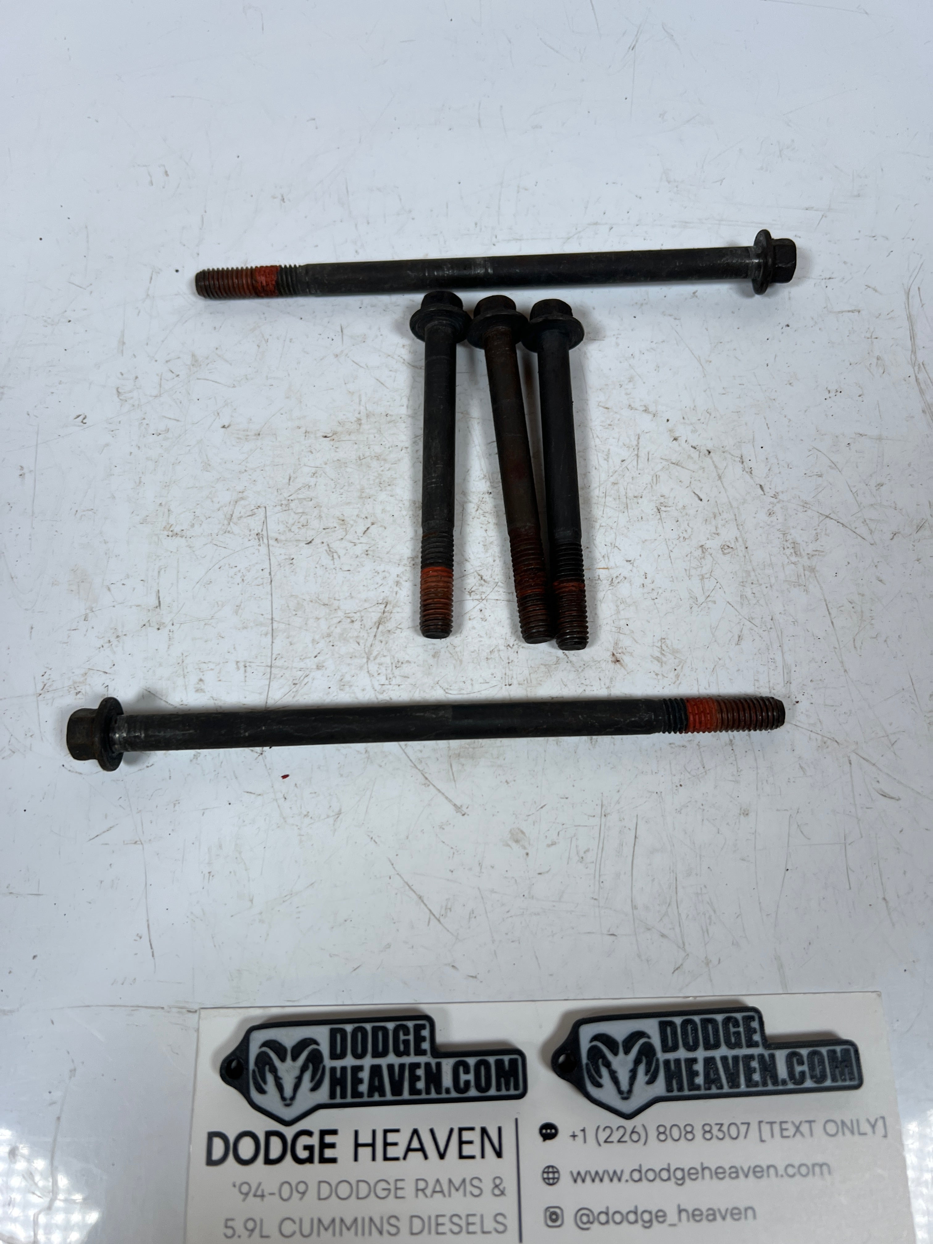 1994-1998 Dodge Ram 12 Valve 5.9L Cummins Intake Plenum Bolts QTY 5