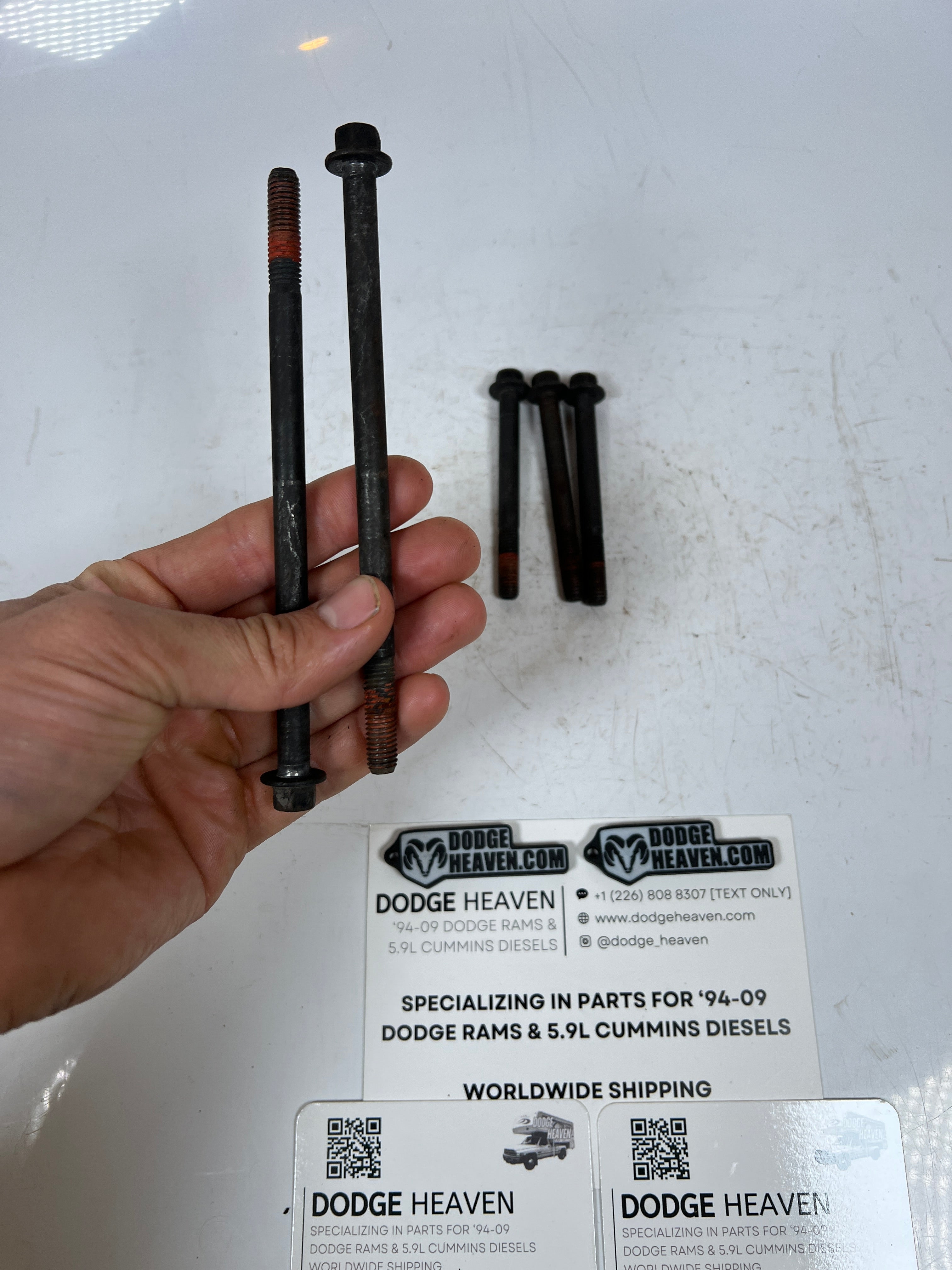 1994-1998 Dodge Ram 12 Valve 5.9L Cummins Intake Plenum Bolts QTY 5