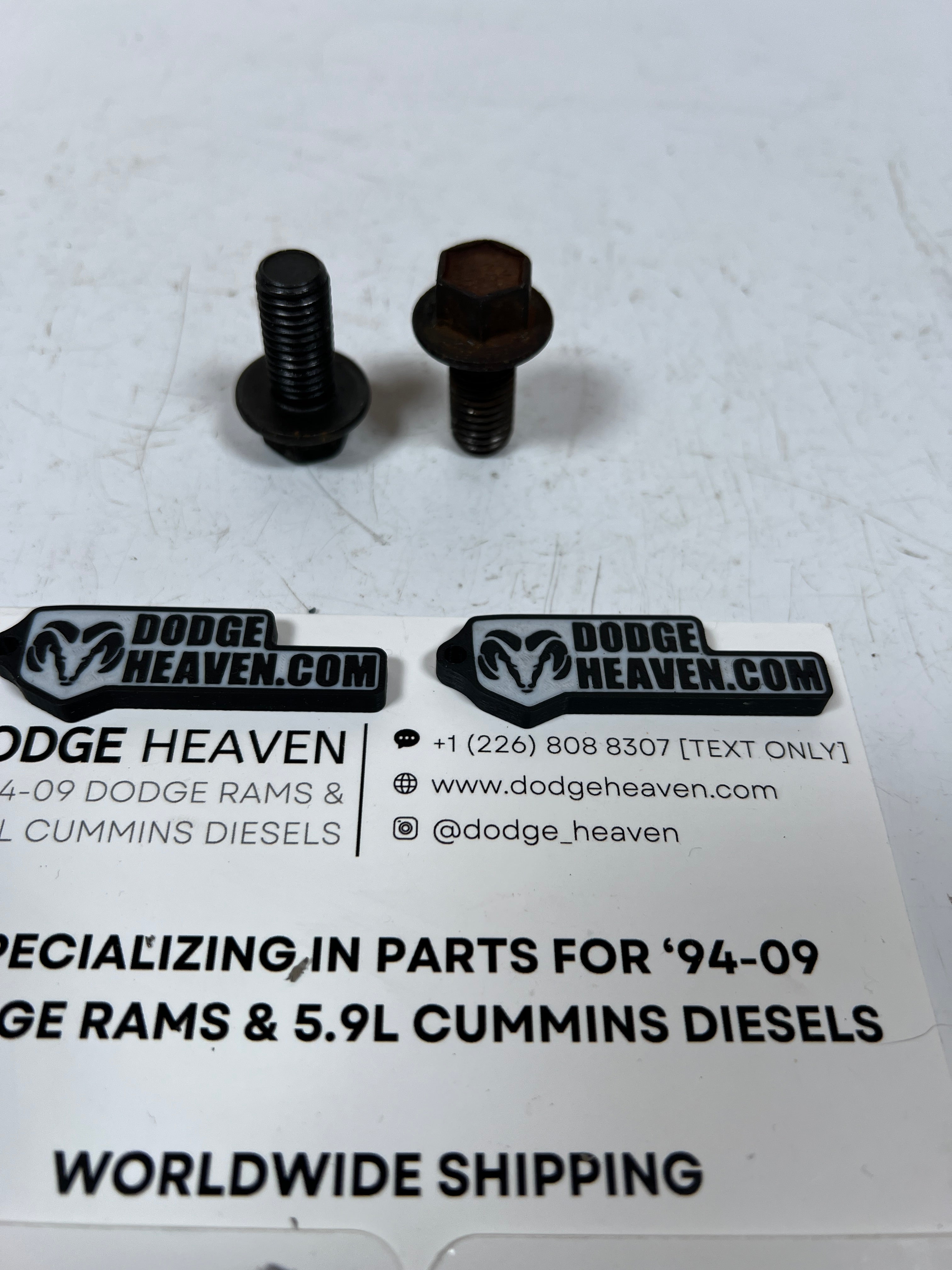 2003-2007 Dodge Ram 5.9L CR Cummins Rear Lift Hook Bolts QTY 2