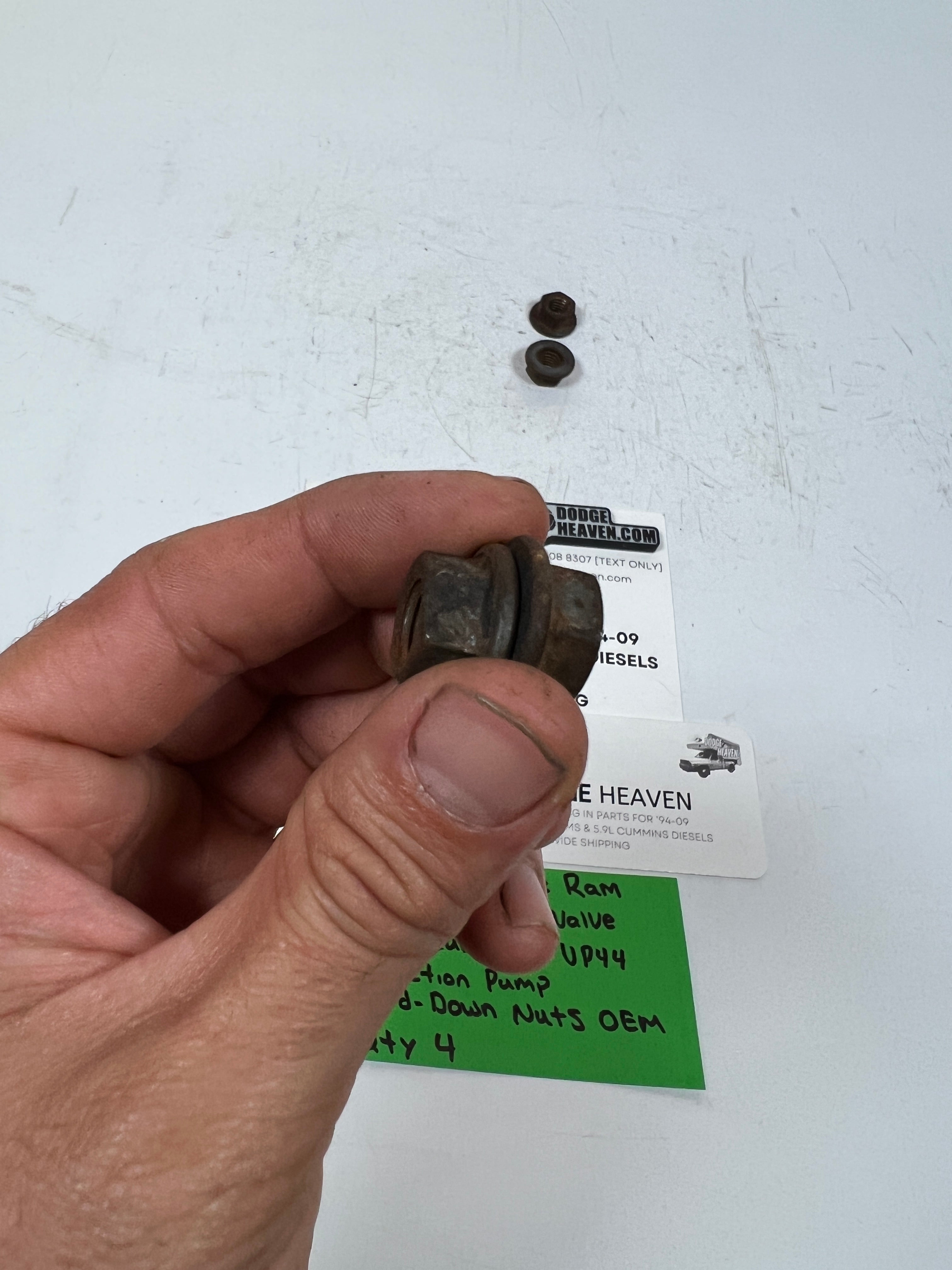 1998.5-2002 Dodge Ram 5.9L Cummins VP44 Injection Pump Hold Down Nuts QTY 4