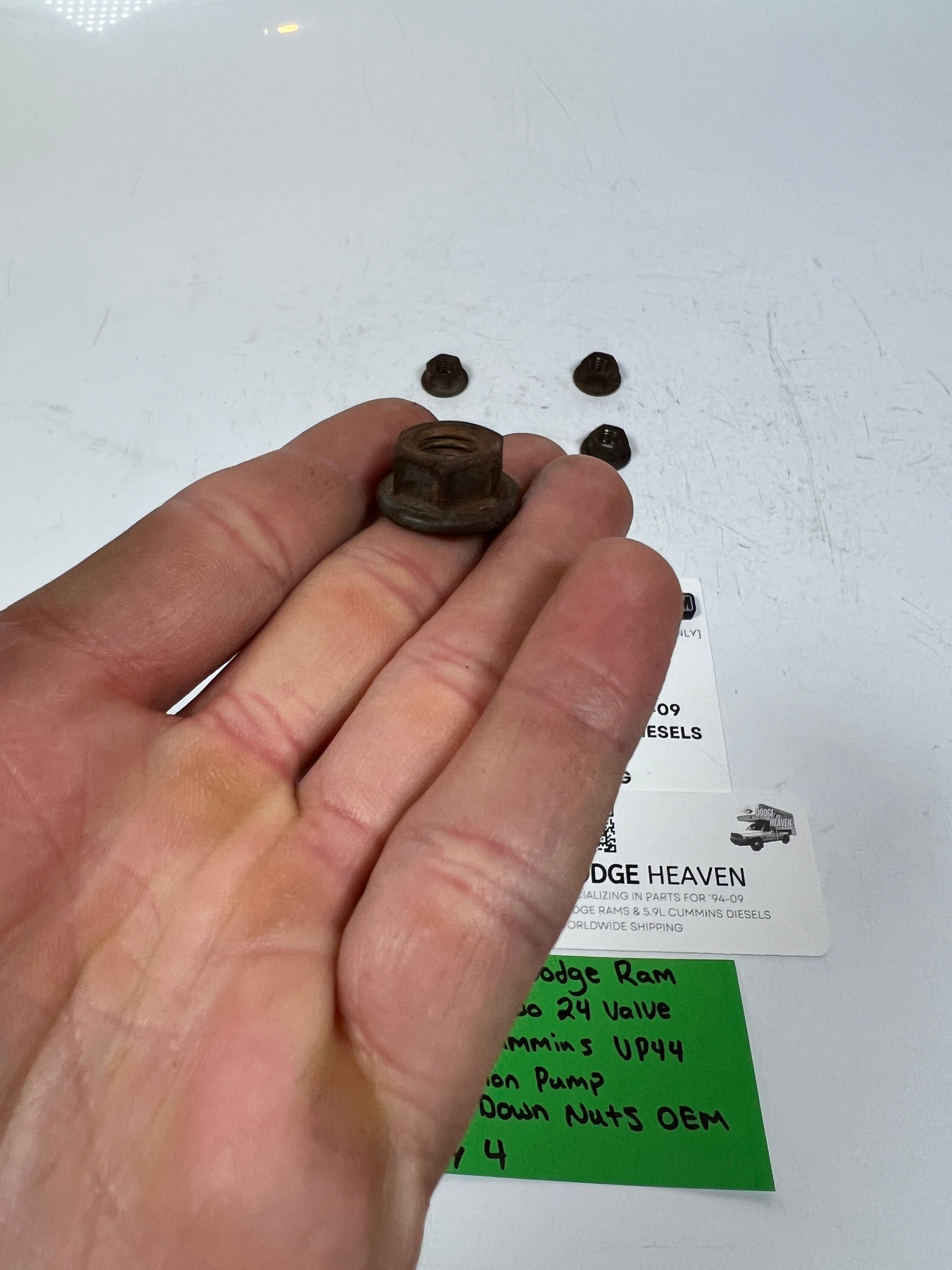 1998.5-2002 Dodge Ram 5.9L Cummins VP44 Injection Pump Hold Down Nuts QTY 4