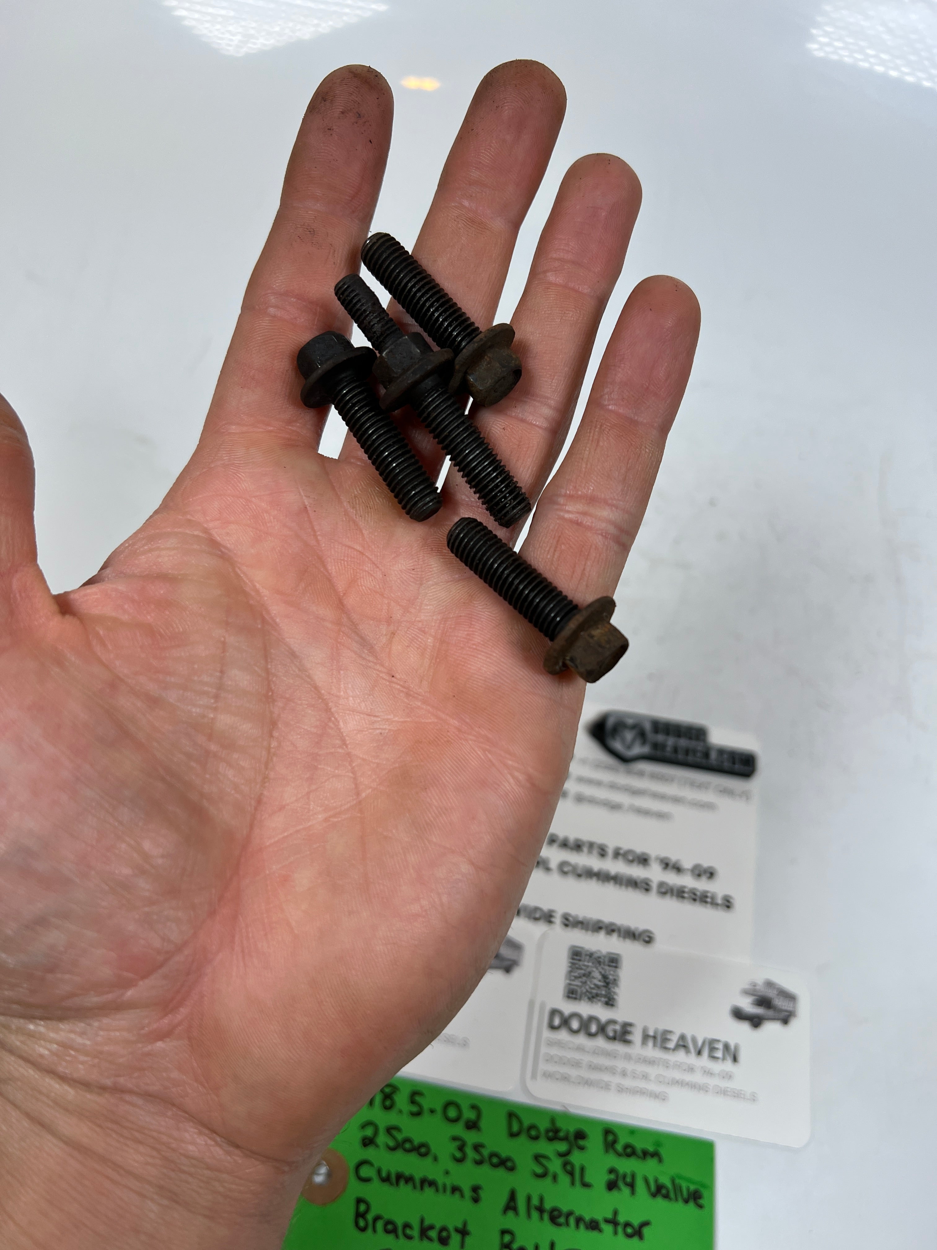 1998.5-2002 Dodge Ram 2500 3500 5.9L Cummins Alternator Bracket Bolts QTY 4
