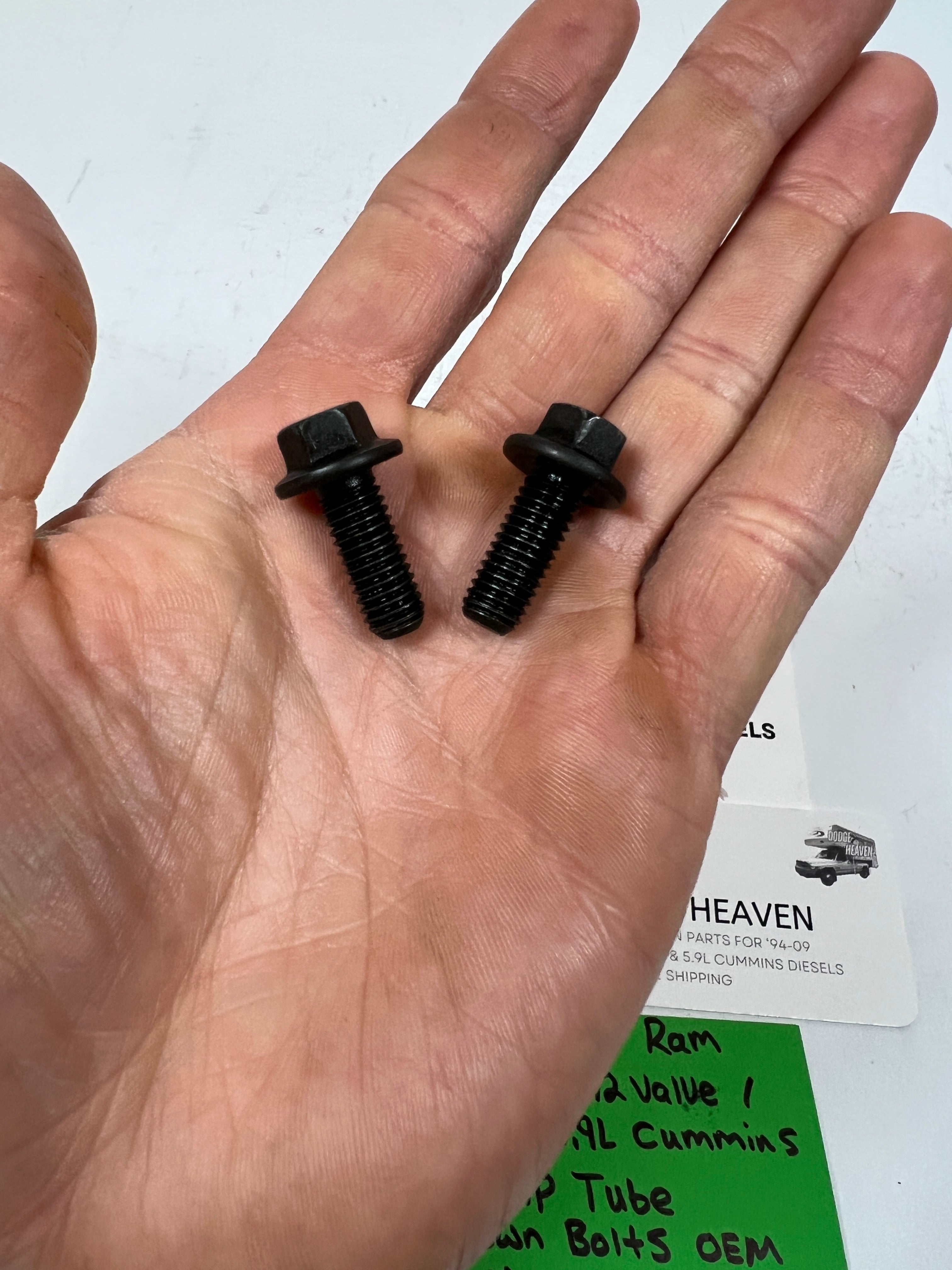 1994-2002 Dodge Ram 12V 24V 5.9L Cummins Oil Sump Tube Hold Down Bolts QTY 4