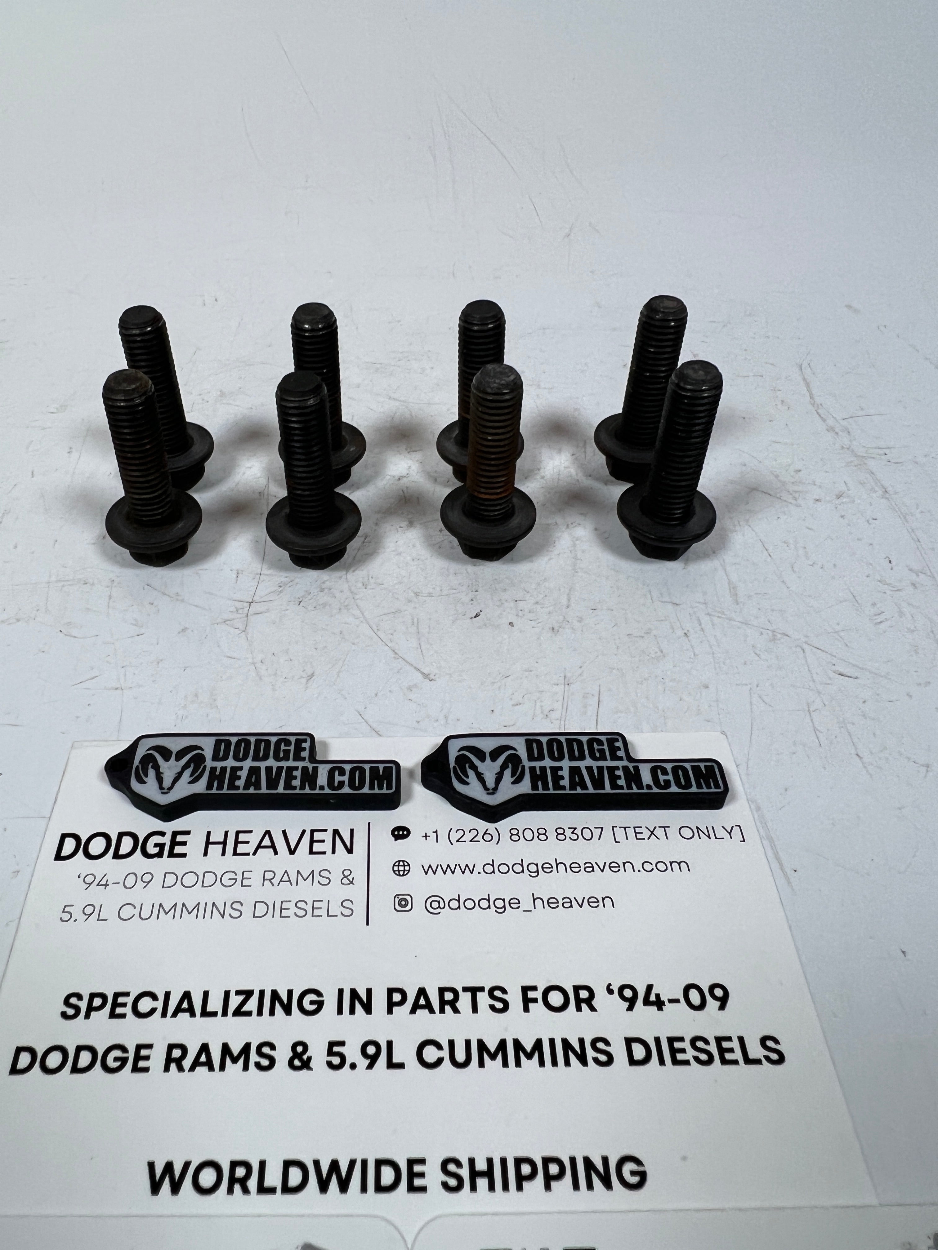1994-2020 Dodge Ram 5.9L 6.7L Cummins Adapter Plate to Engine Bolts QTY 8