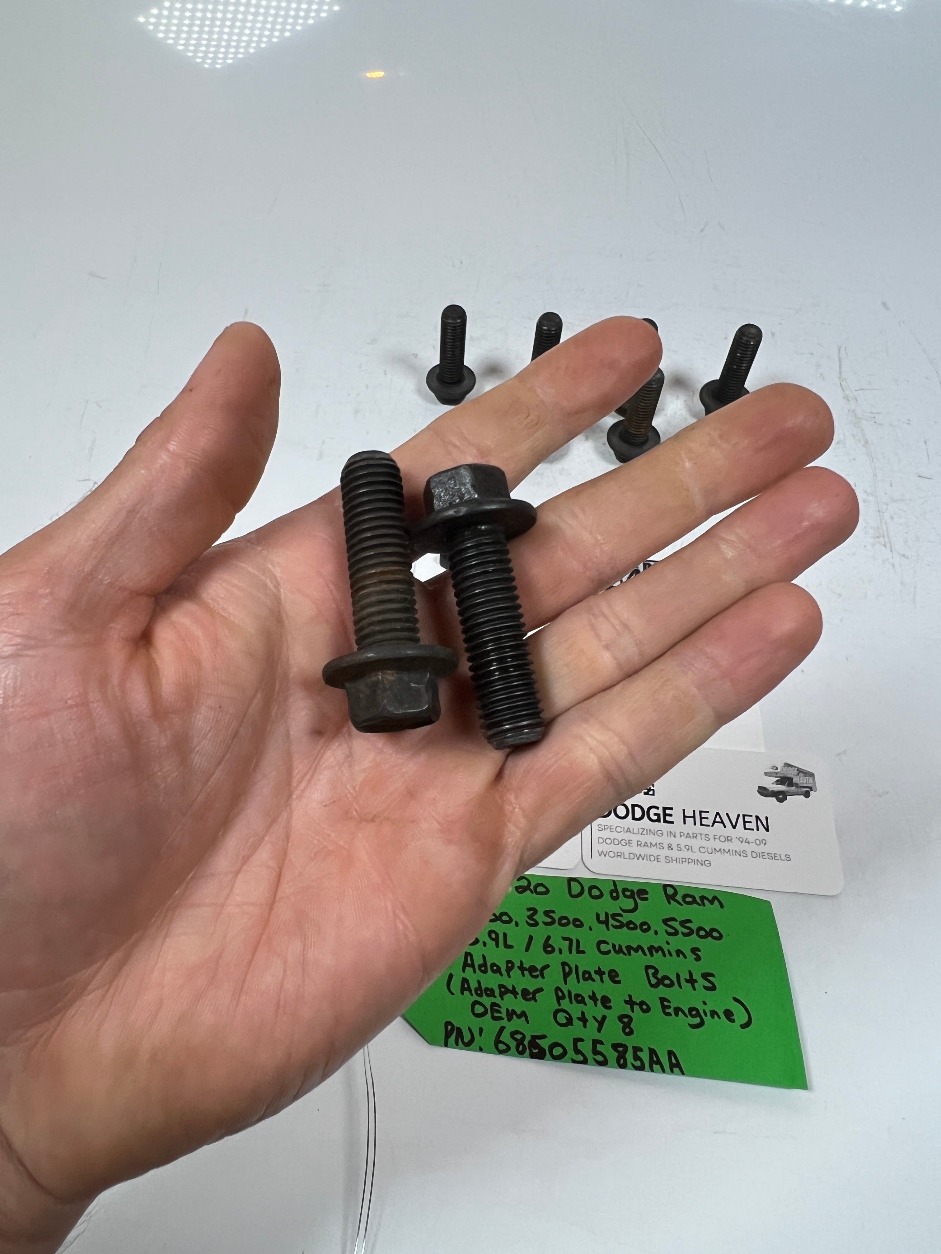 1994-2020 Dodge Ram 5.9L 6.7L Cummins Adapter Plate to Engine Bolts QTY 8