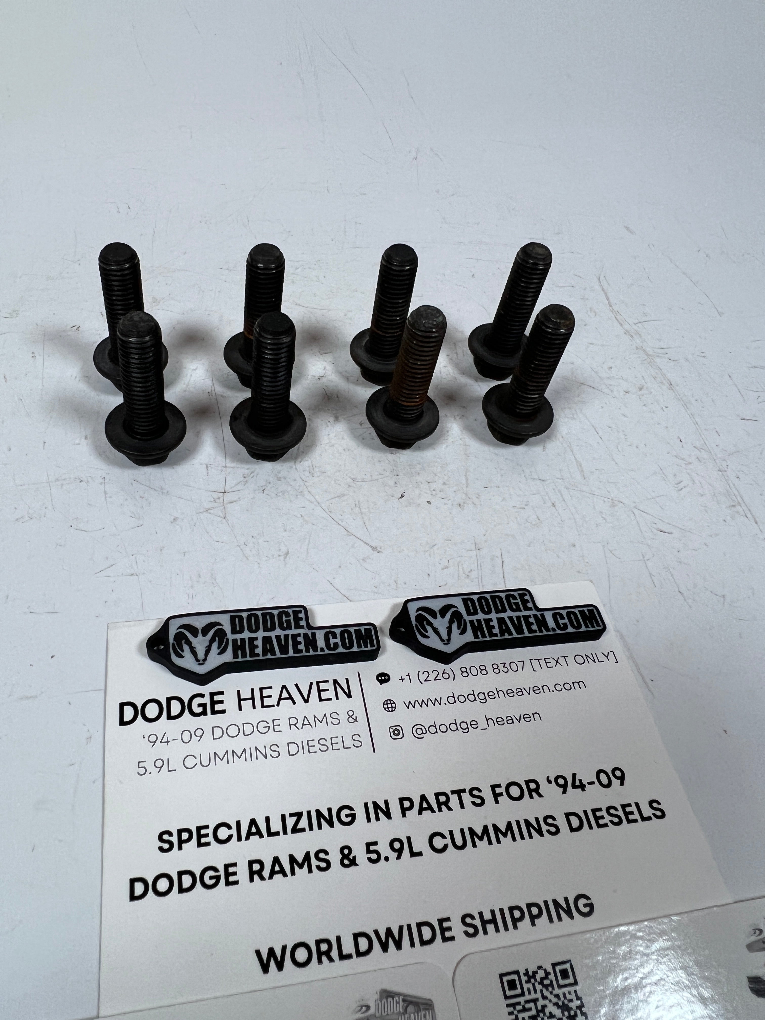 1994-2020 Dodge Ram 5.9L 6.7L Cummins Adapter Plate to Engine Bolts QTY 8