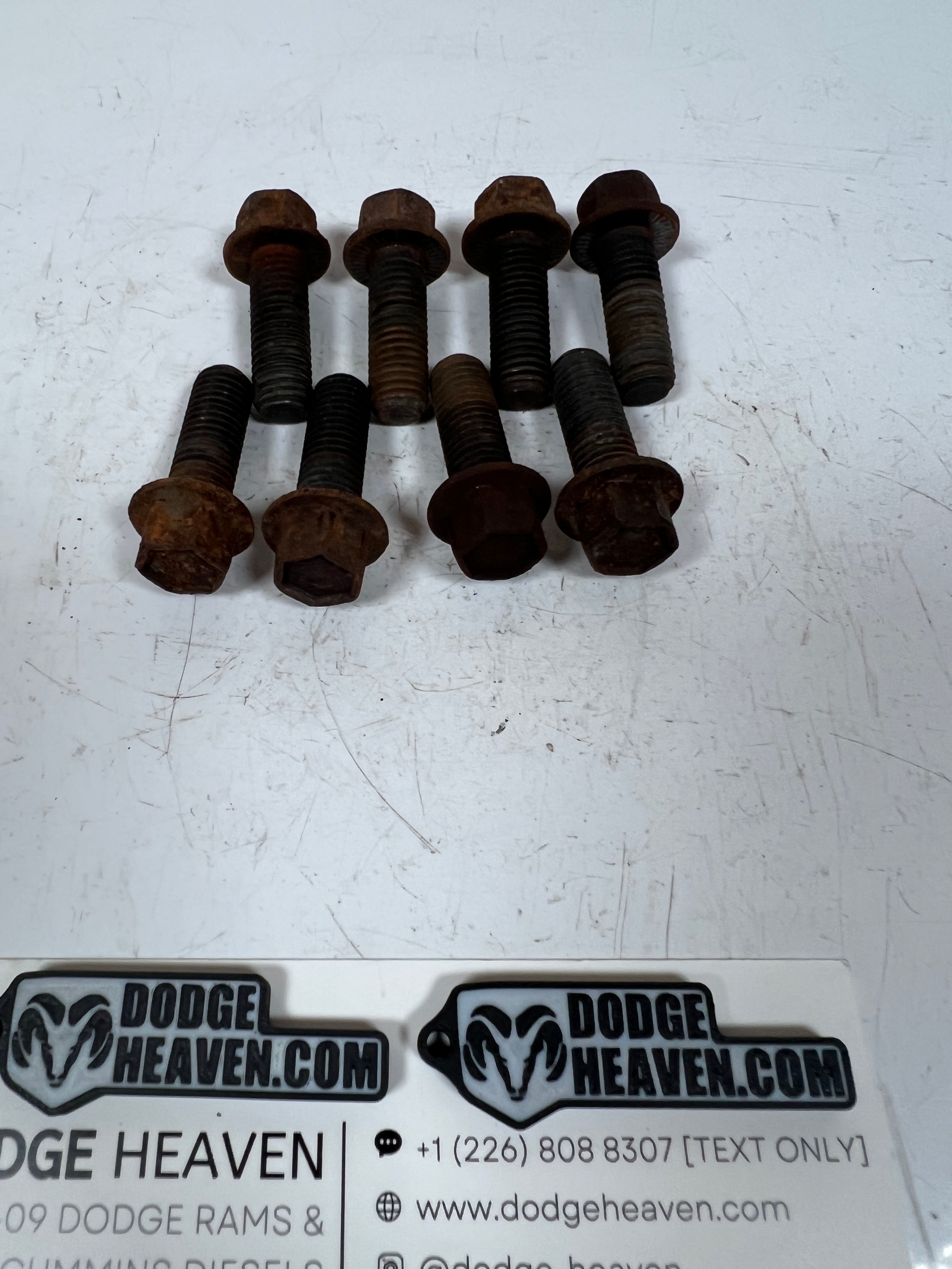 2003-2018 Dodge Ram 5.9L / 6.7L Cummins Motor Mount to Engine Bolts QTY 8