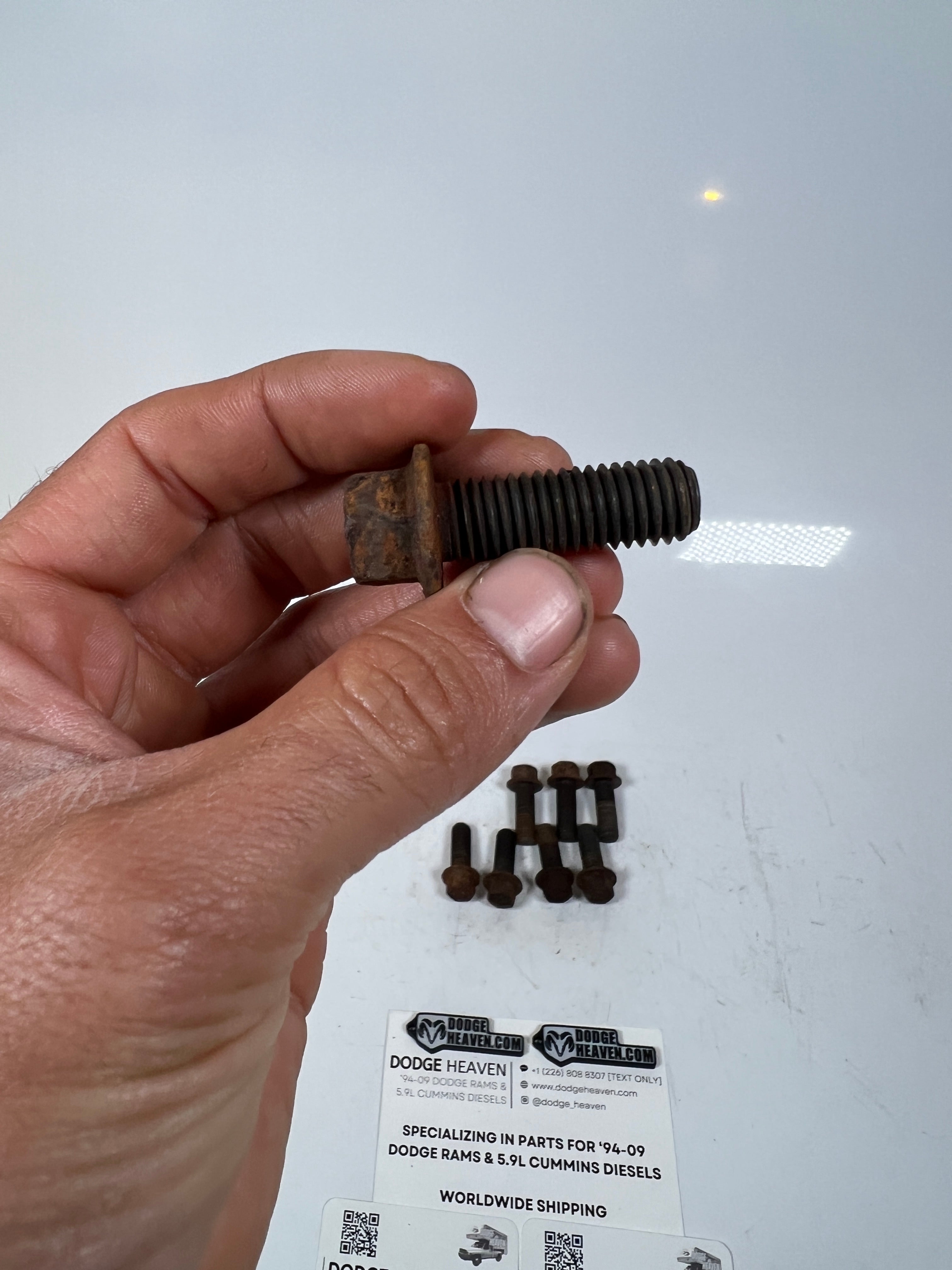 2003-2018 Dodge Ram 5.9L / 6.7L Cummins Motor Mount to Engine Bolts QTY 8