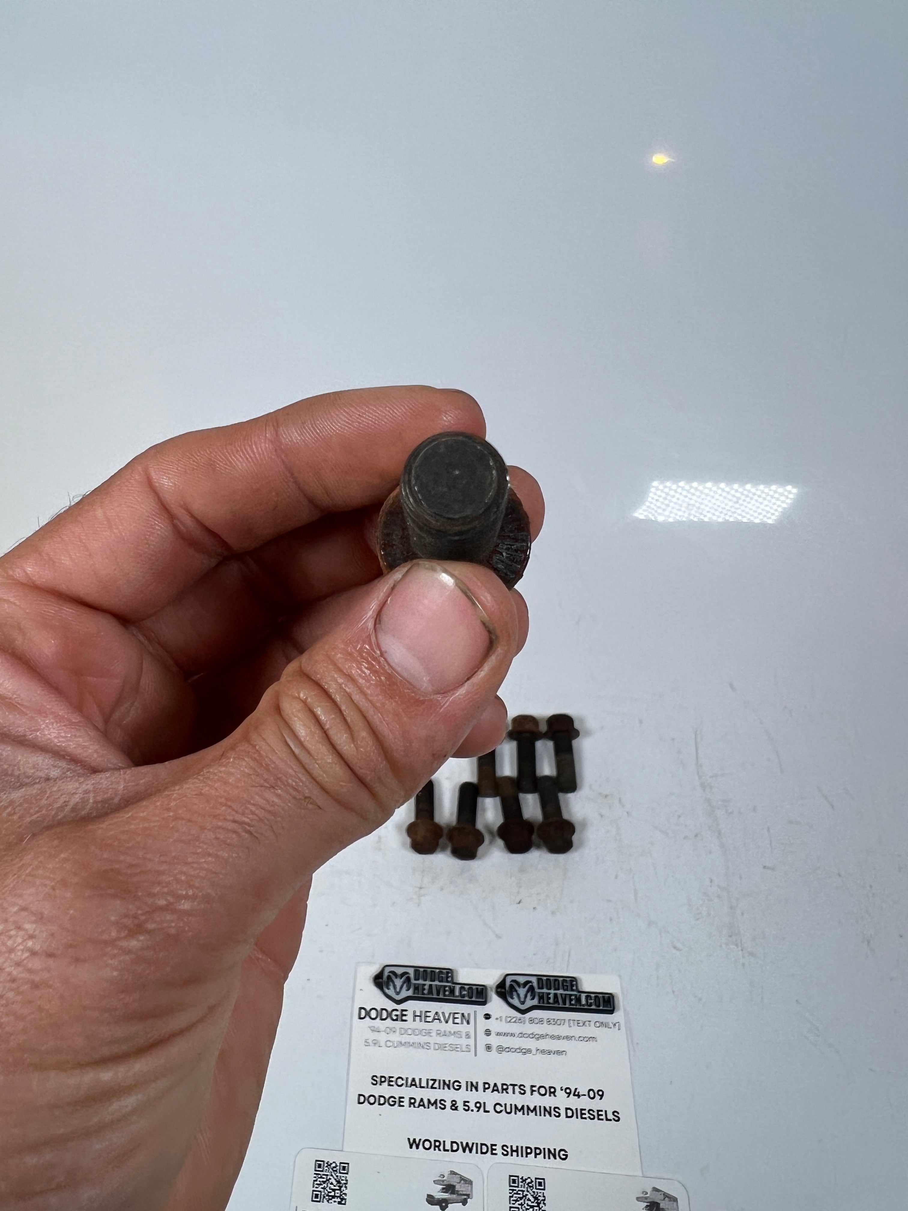 2003-2018 Dodge Ram 5.9L / 6.7L Cummins Motor Mount to Engine Bolts QTY 8