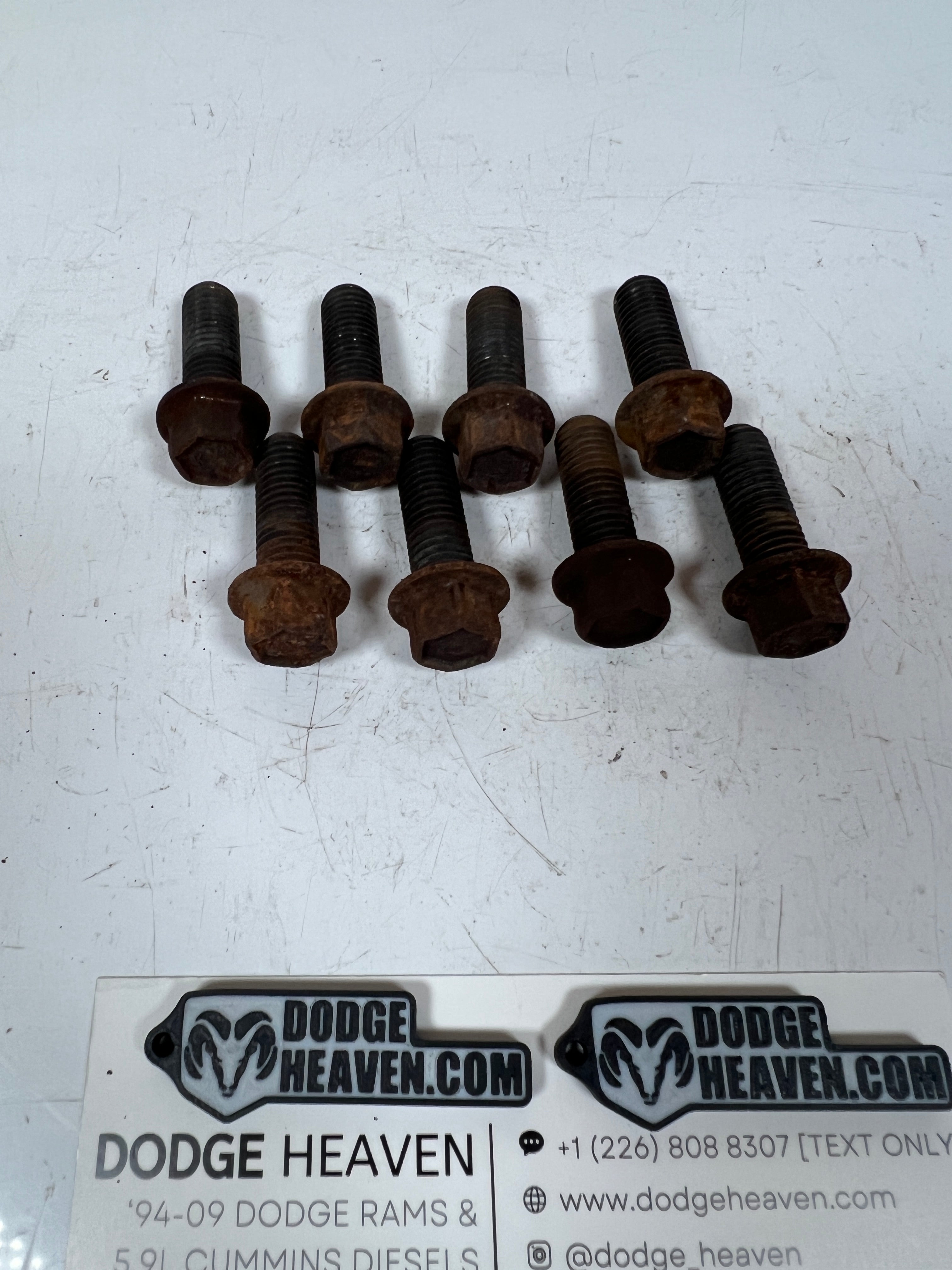 2003-2018 Dodge Ram 5.9L / 6.7L Cummins Motor Mount to Engine Bolts QTY 8