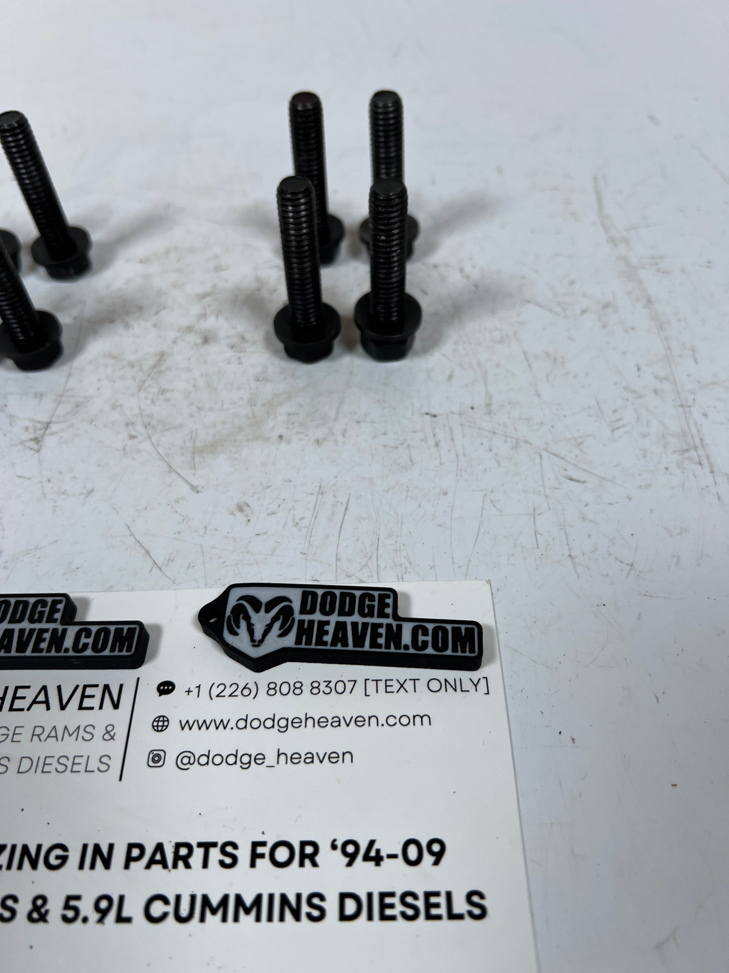 1994-2007 Dodge Ram 5.9L Cummins Auto & Manual Trans to Adapter Plate Bolts