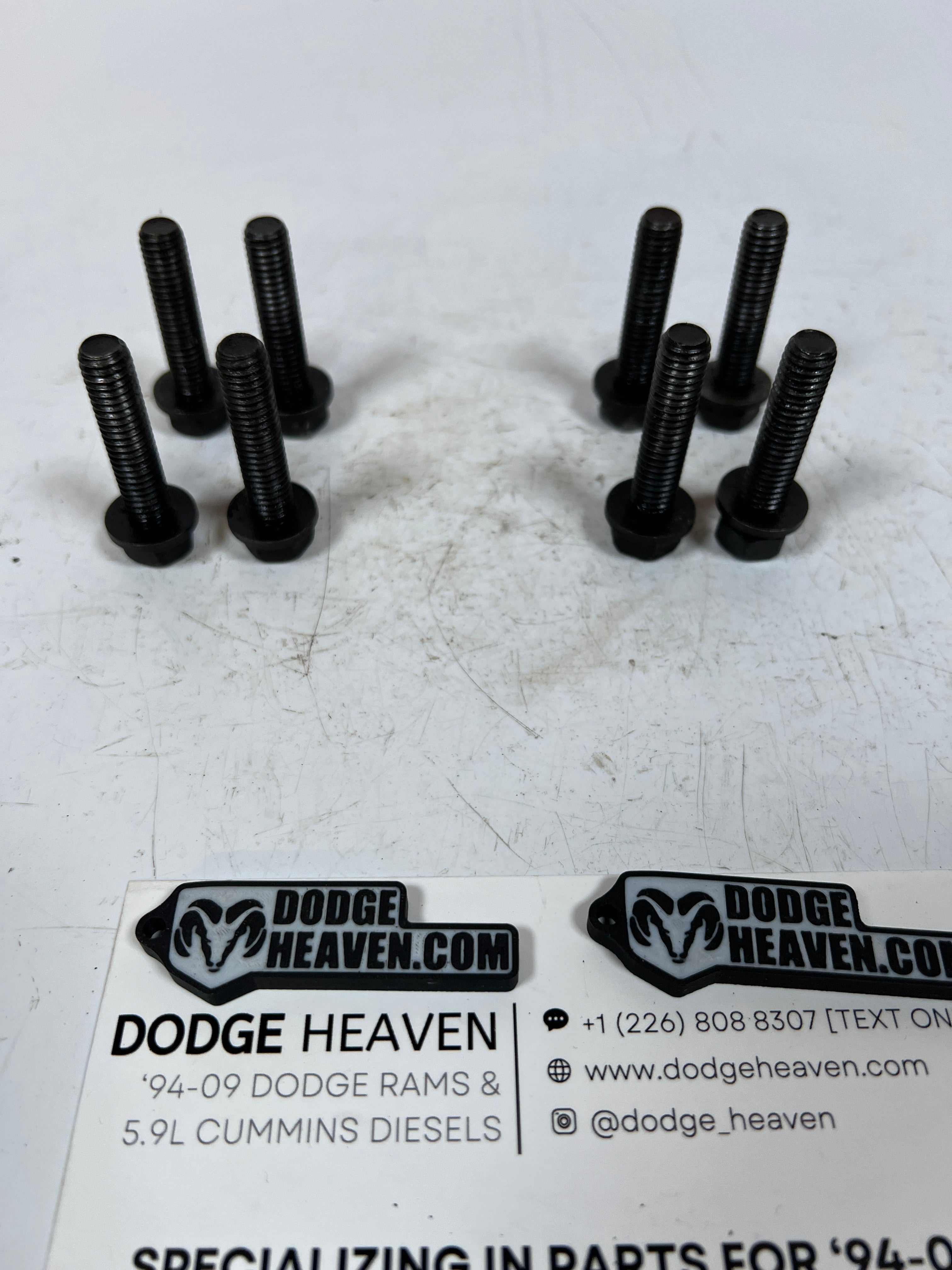1994-2007 Dodge Ram 5.9L Cummins Auto & Manual Trans to Adapter Plate Bolts