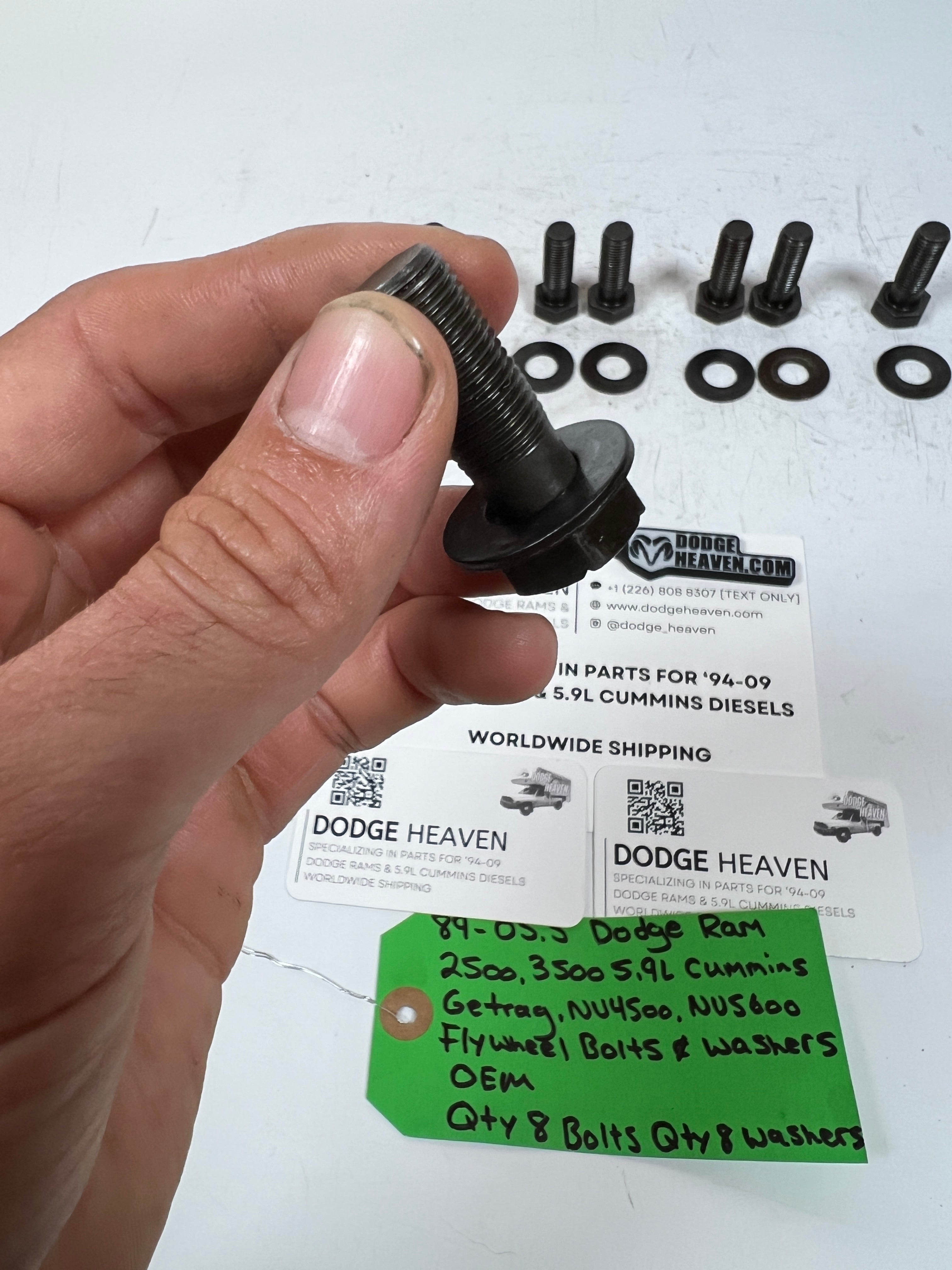 1989-2005.5 Dodge Ram Cummins NV4500 NV5600 Flywheel Bolts & Washers QTY 8